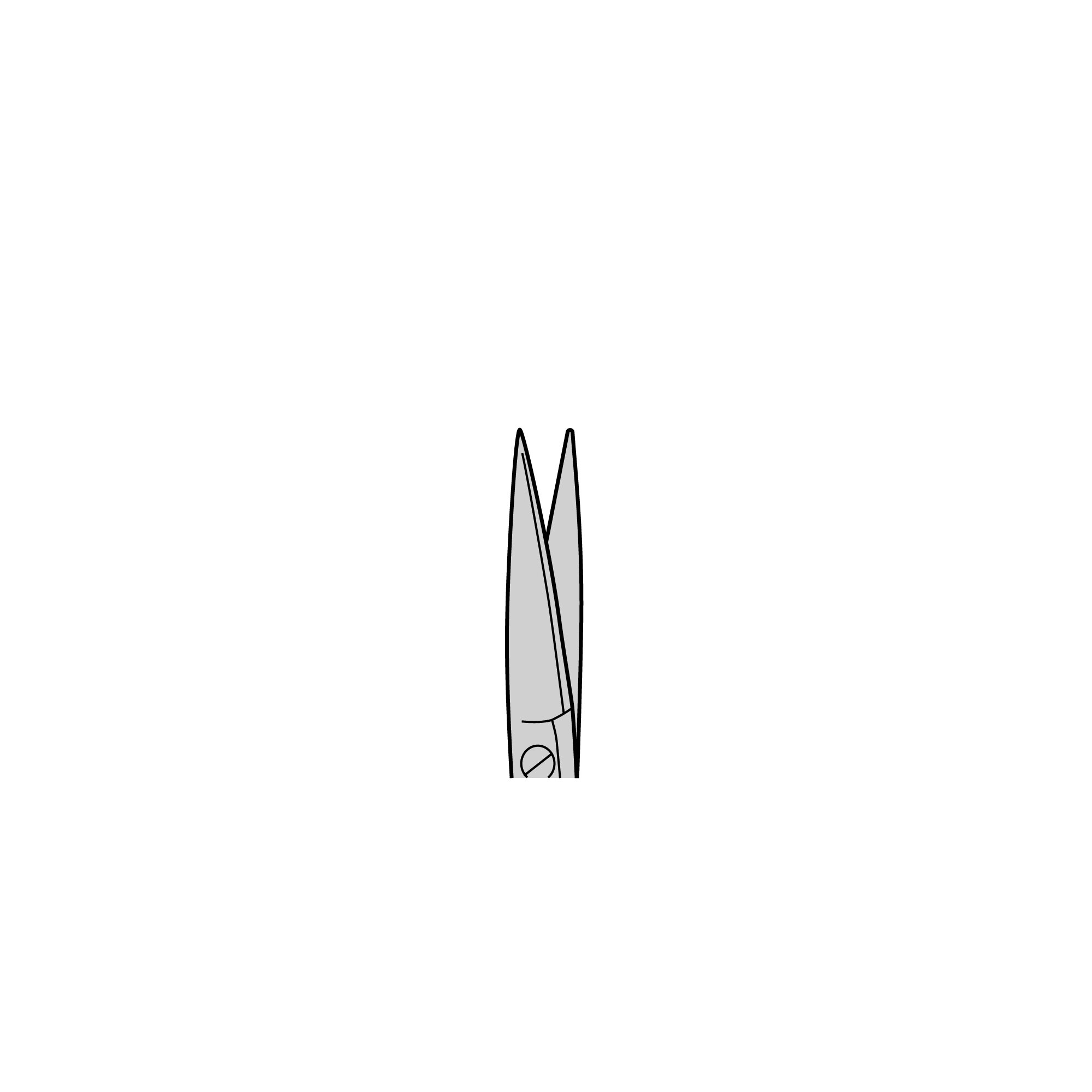 Moria Iris Scissors | 14370-22