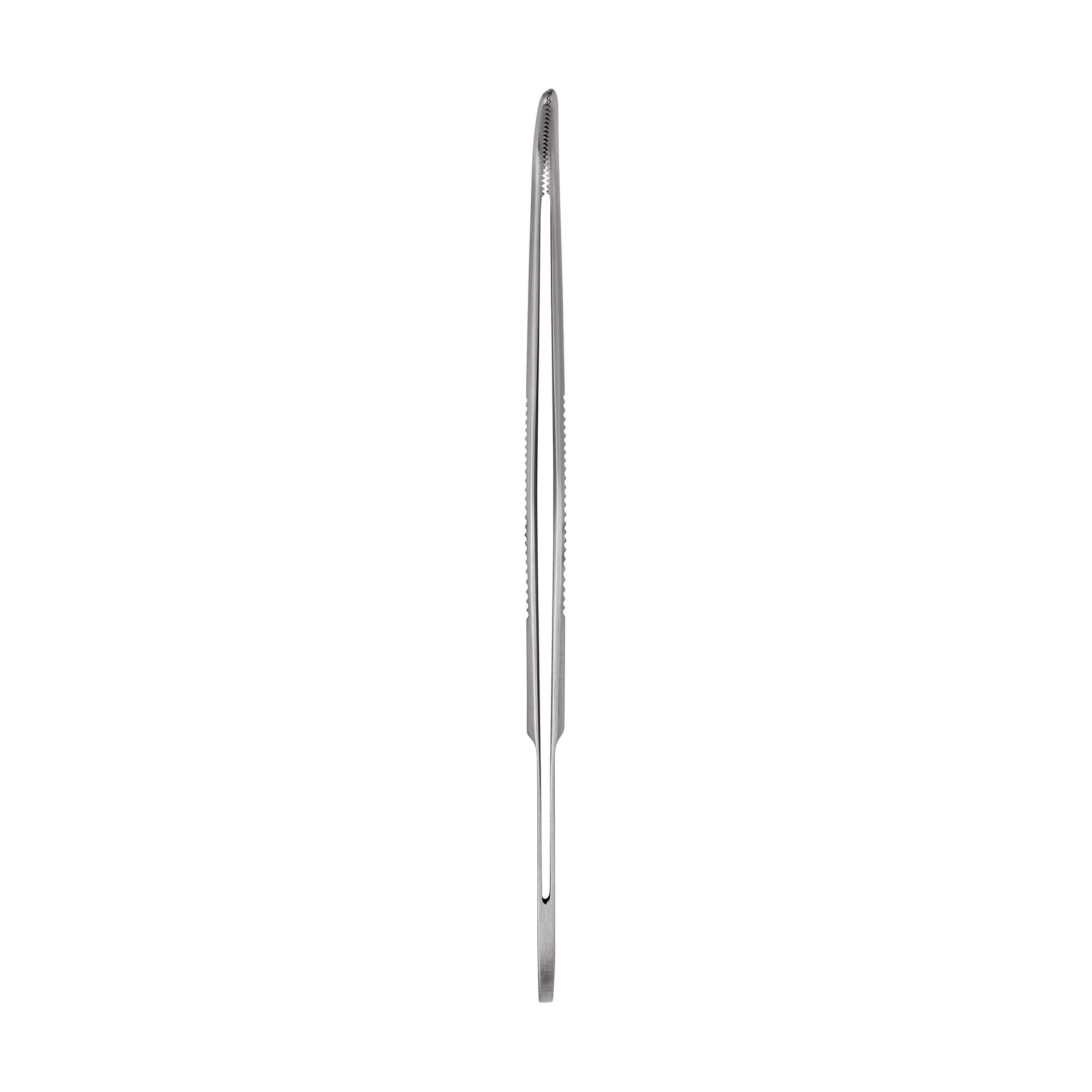 Anatomical Standard Forceps - Curved | 11001-12