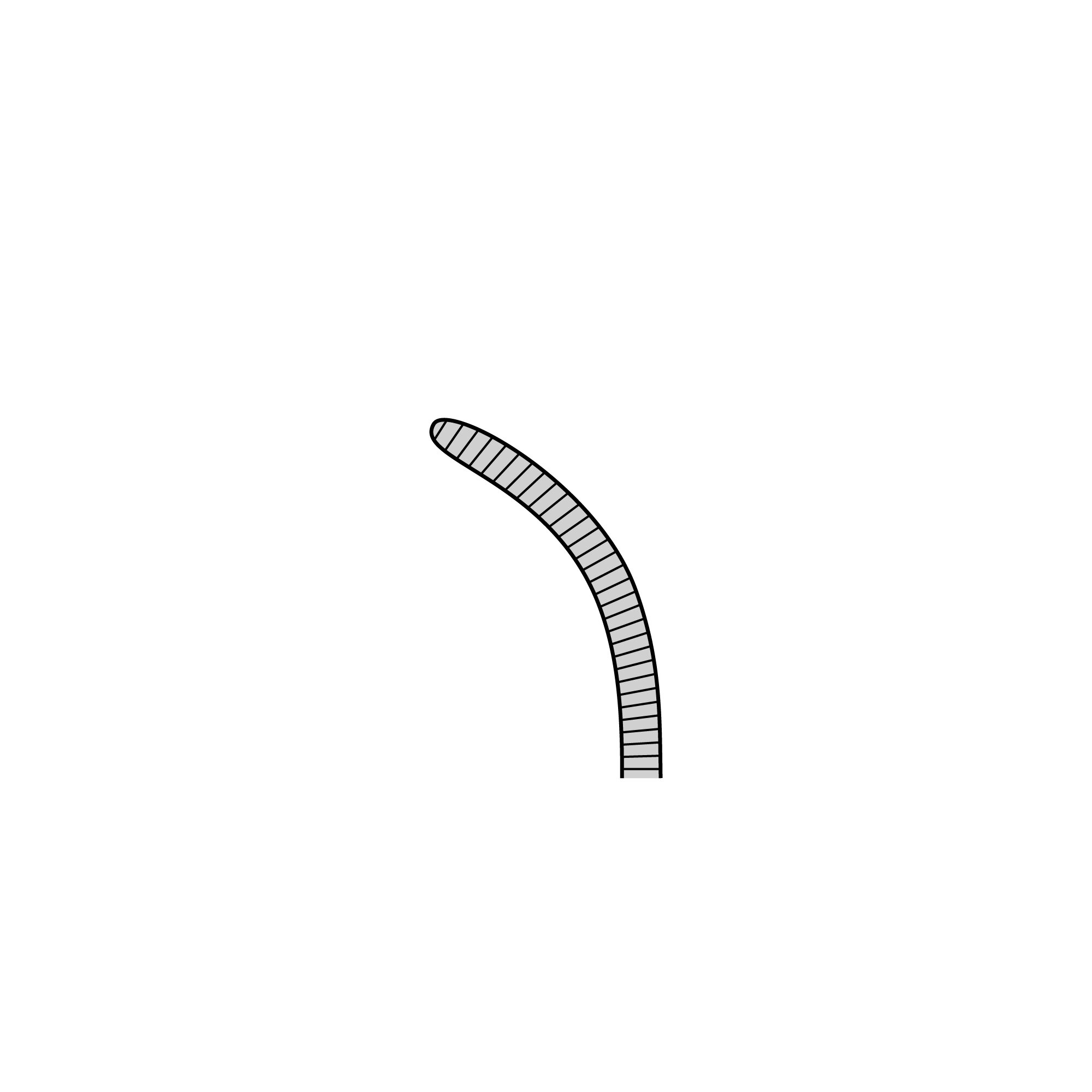 Semken Anatomical Forceps | 11009-13