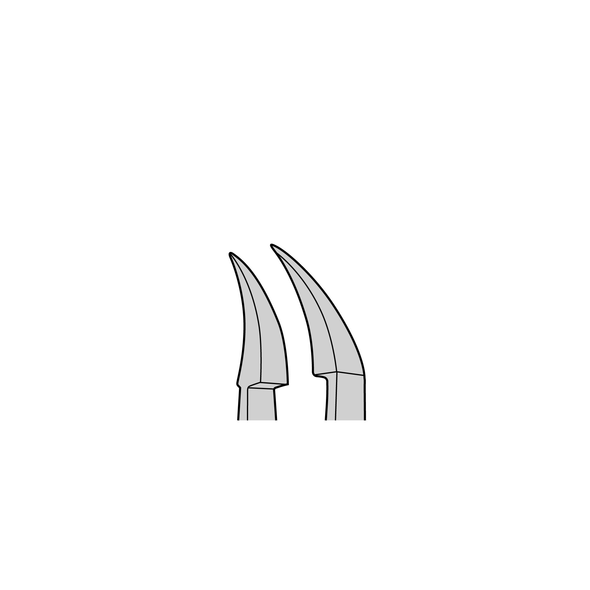 Plastic Forceps | 11700-01