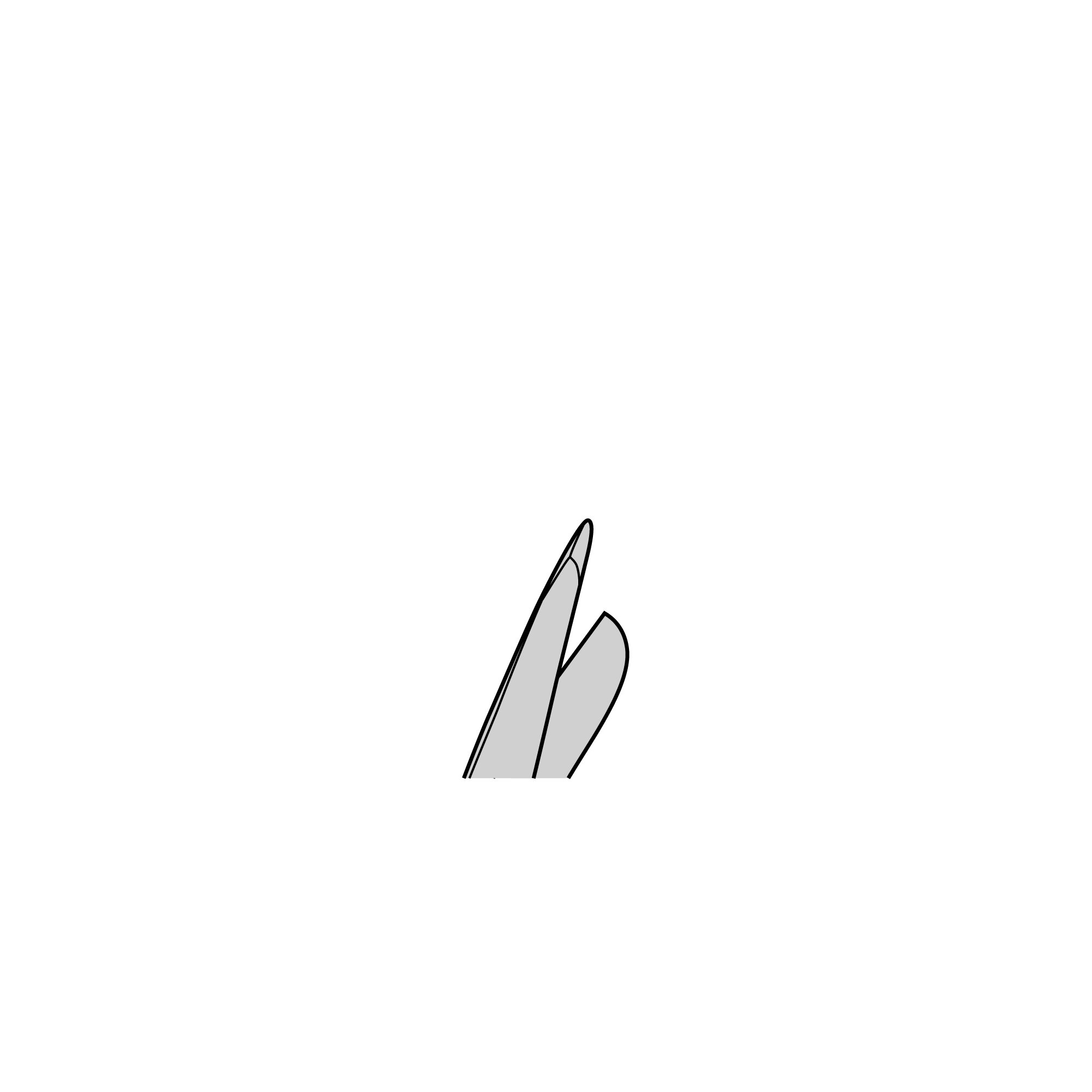 Mini-Lister Scissors - Tungsten Carbide | 14531-09