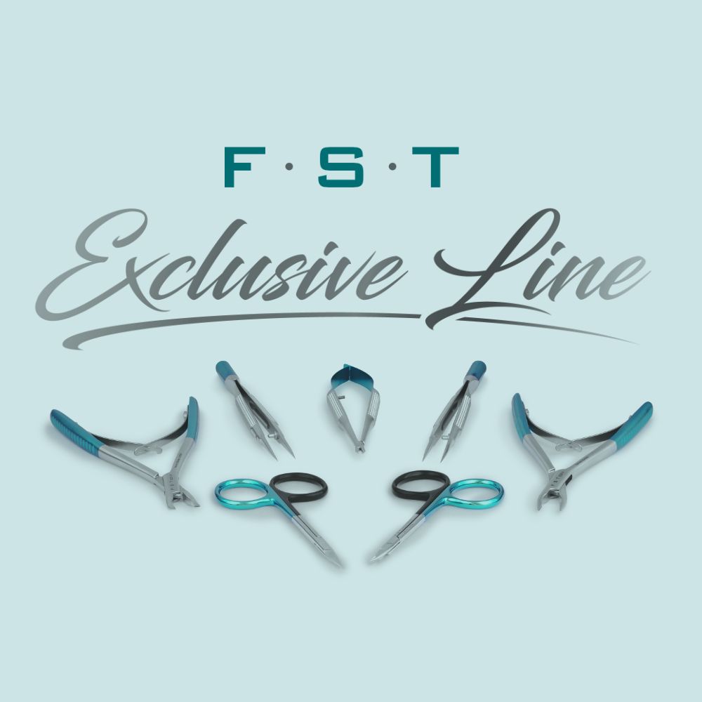 2024 - Launch of our FST...