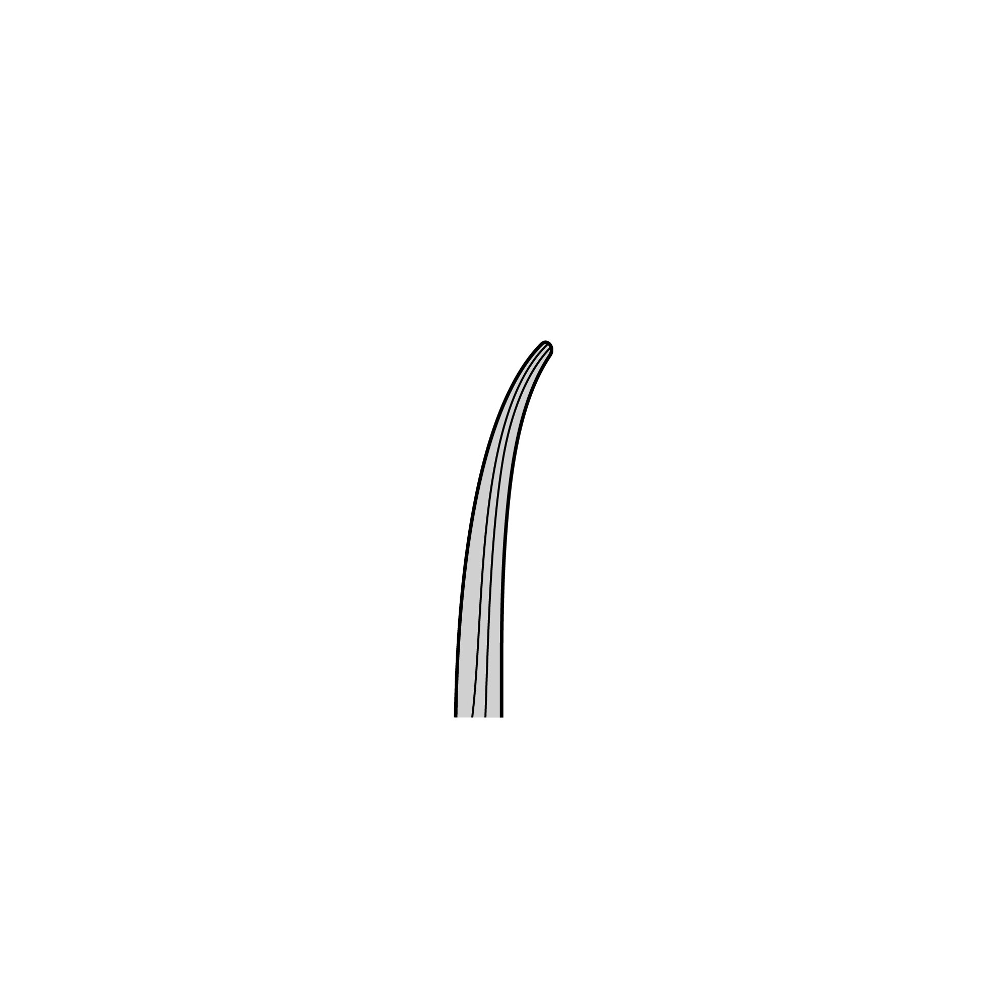 Standard Surgical Scissors - Sharp/Sharp | 14005-16