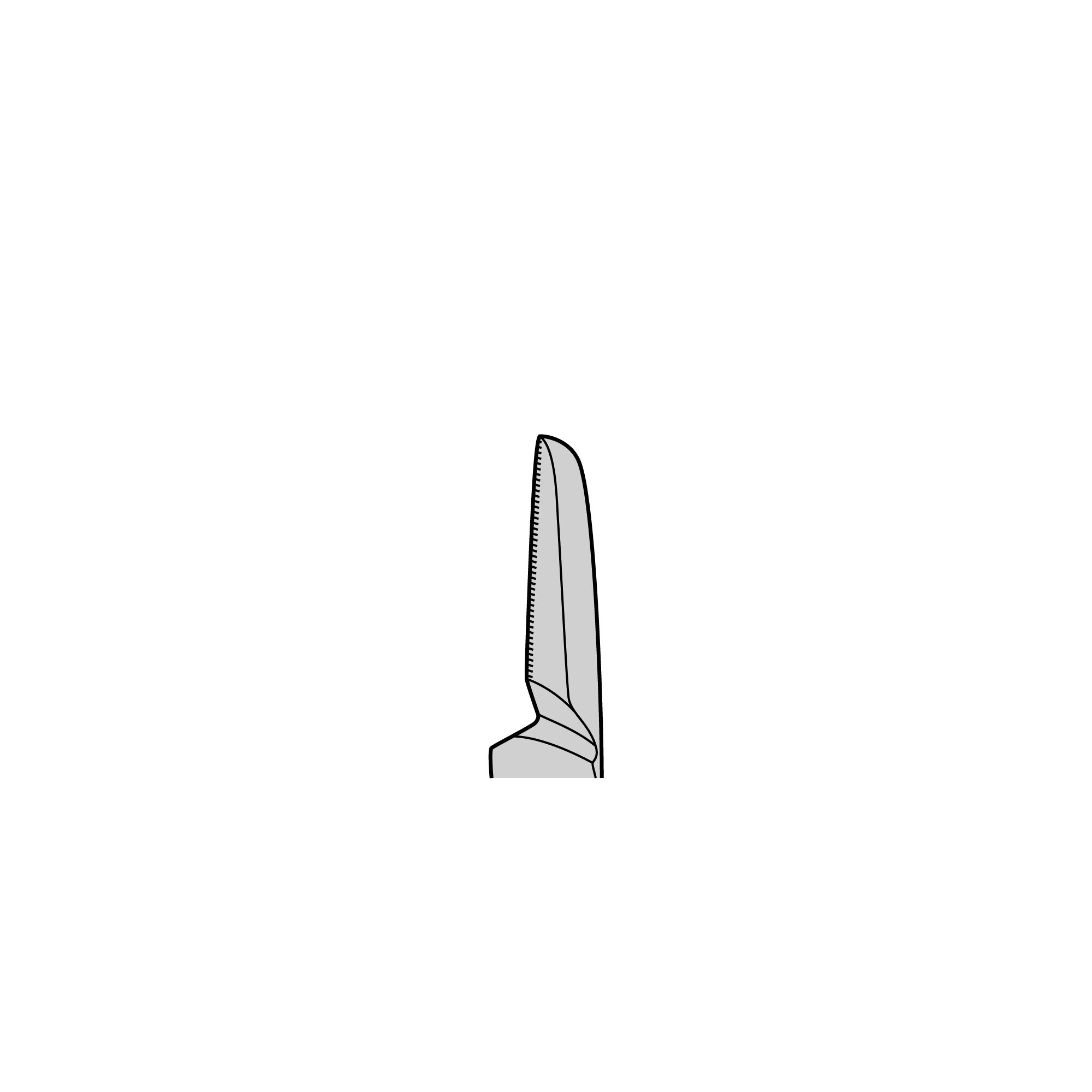 Olsen-Hegar Needle Holder | 12502-12