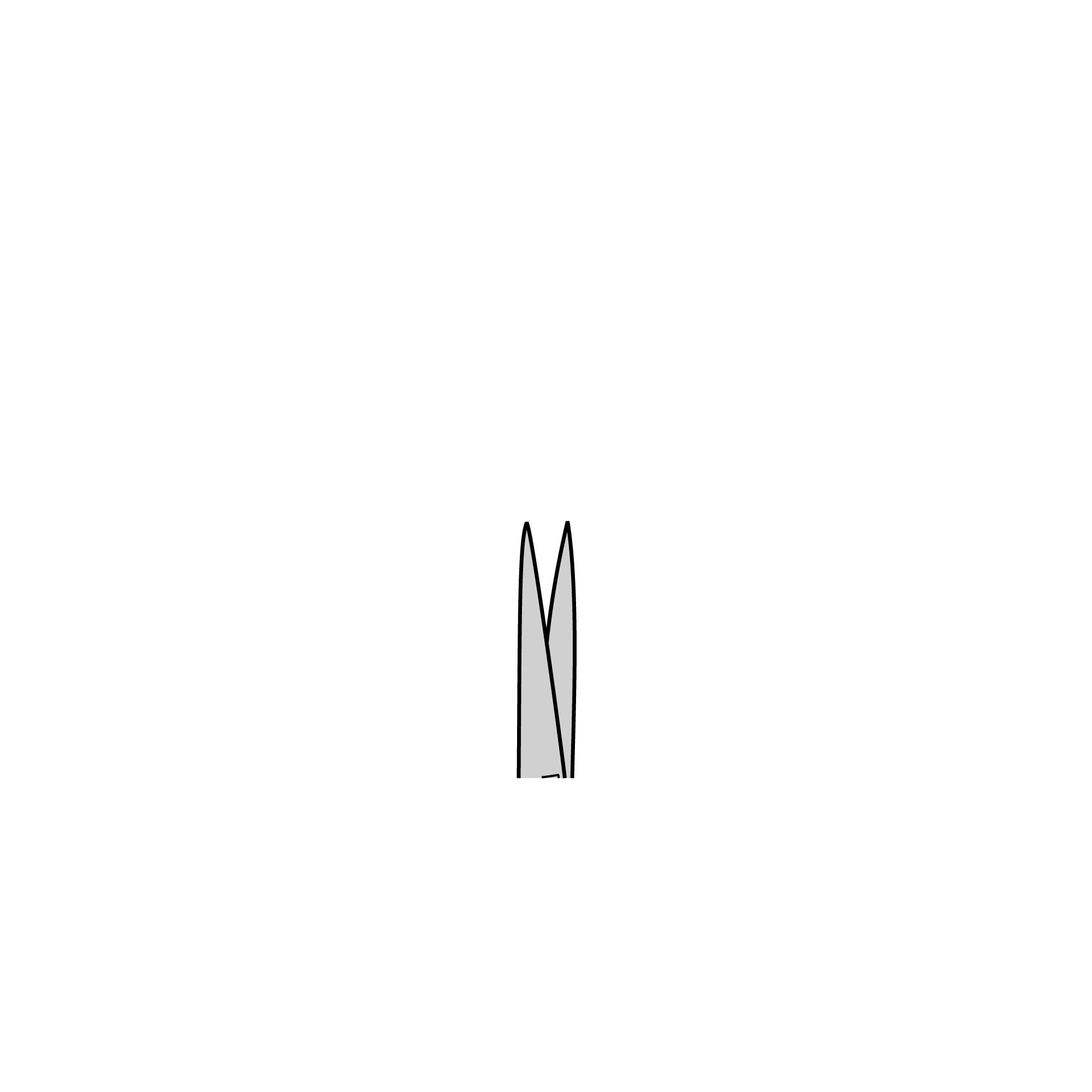 Iris Scissors - Partly Polished | 14090-09