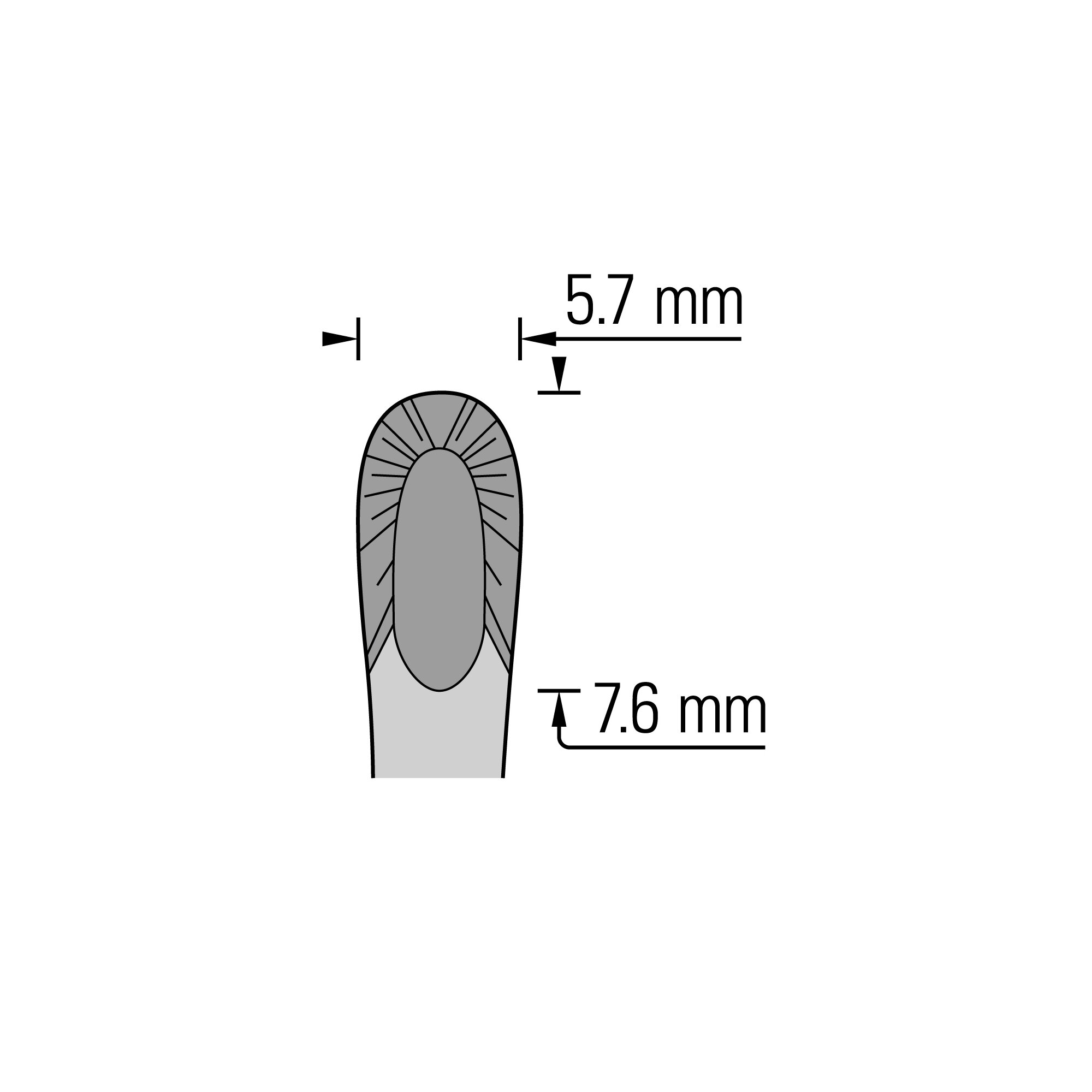 Student Russian Forceps | 91126-15