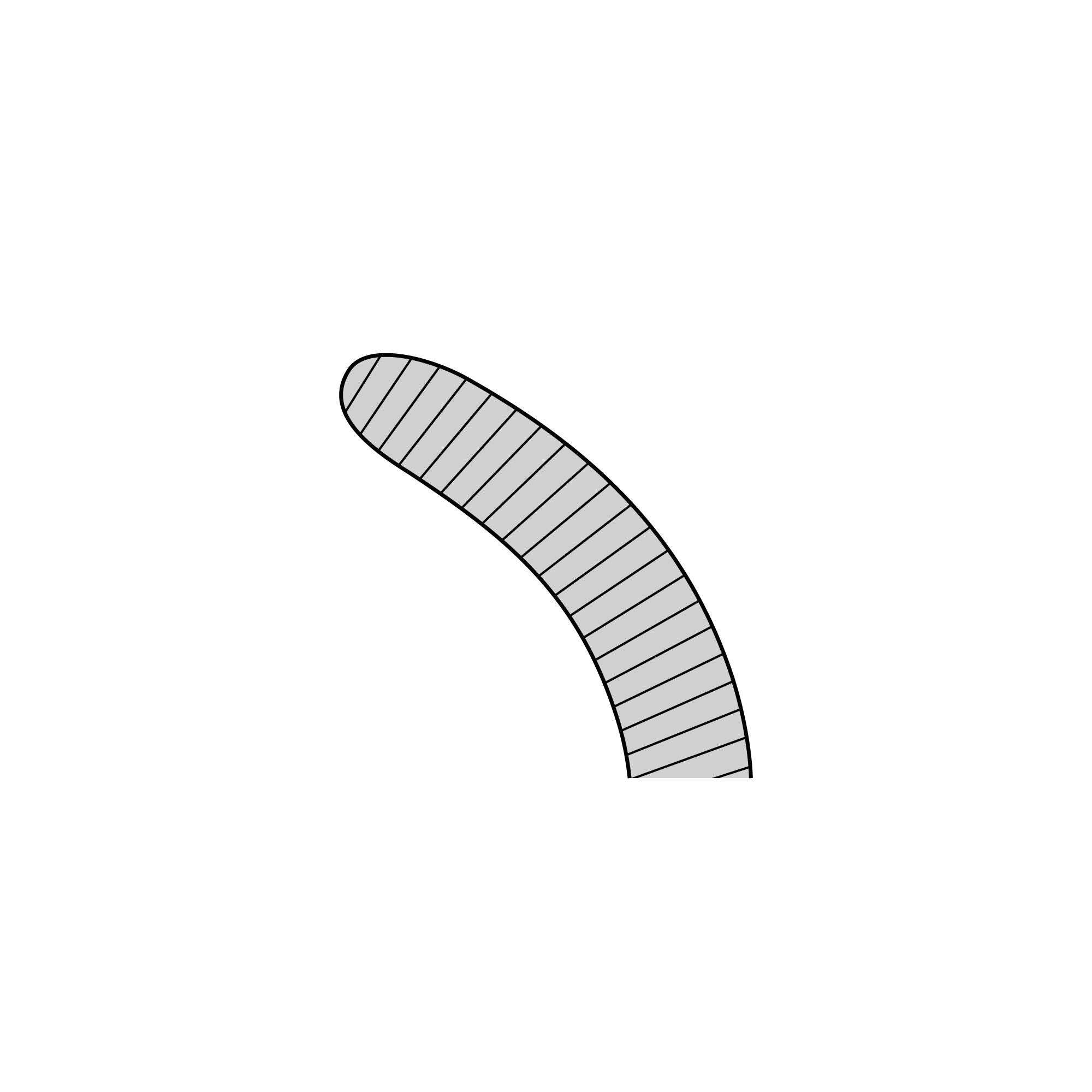 Anatomical Standard Forceps - Curved | 11001-18