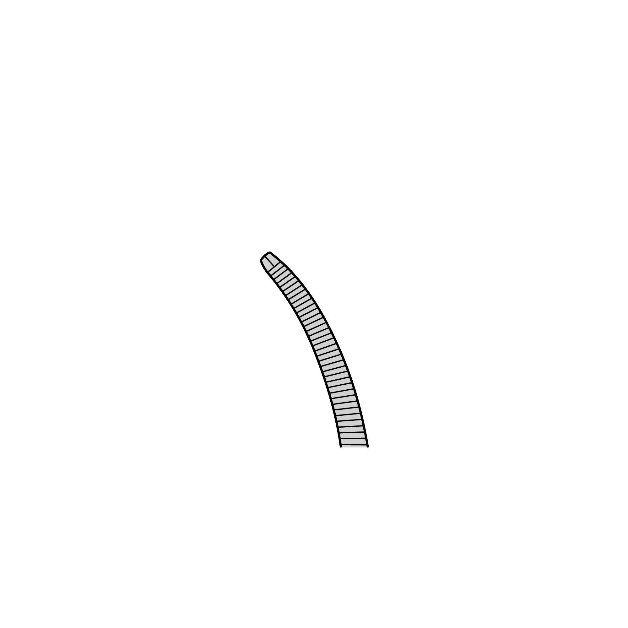 Student Halsted-Mosquito Hemostat | 91331-12