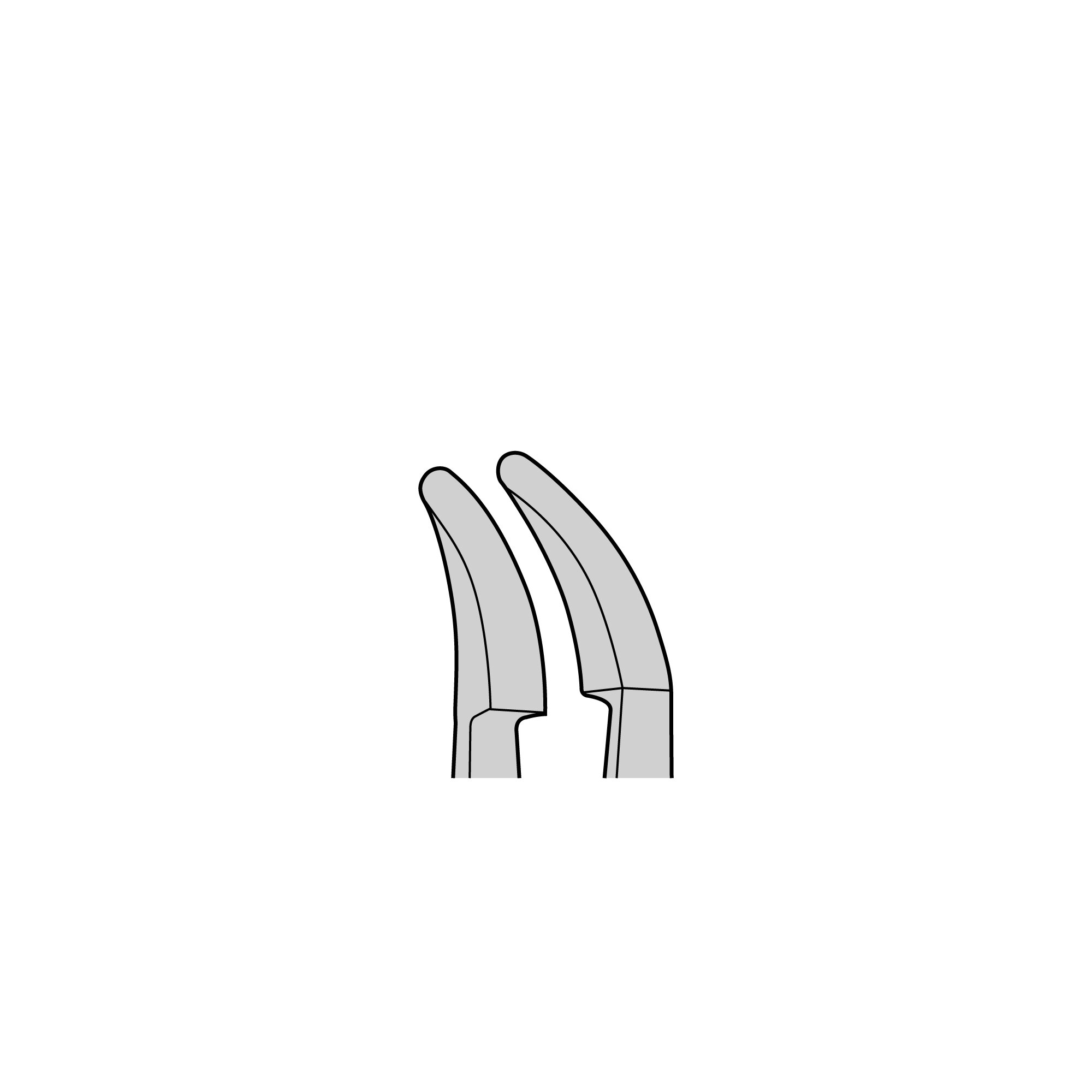 Plastic Forceps | 11700-04