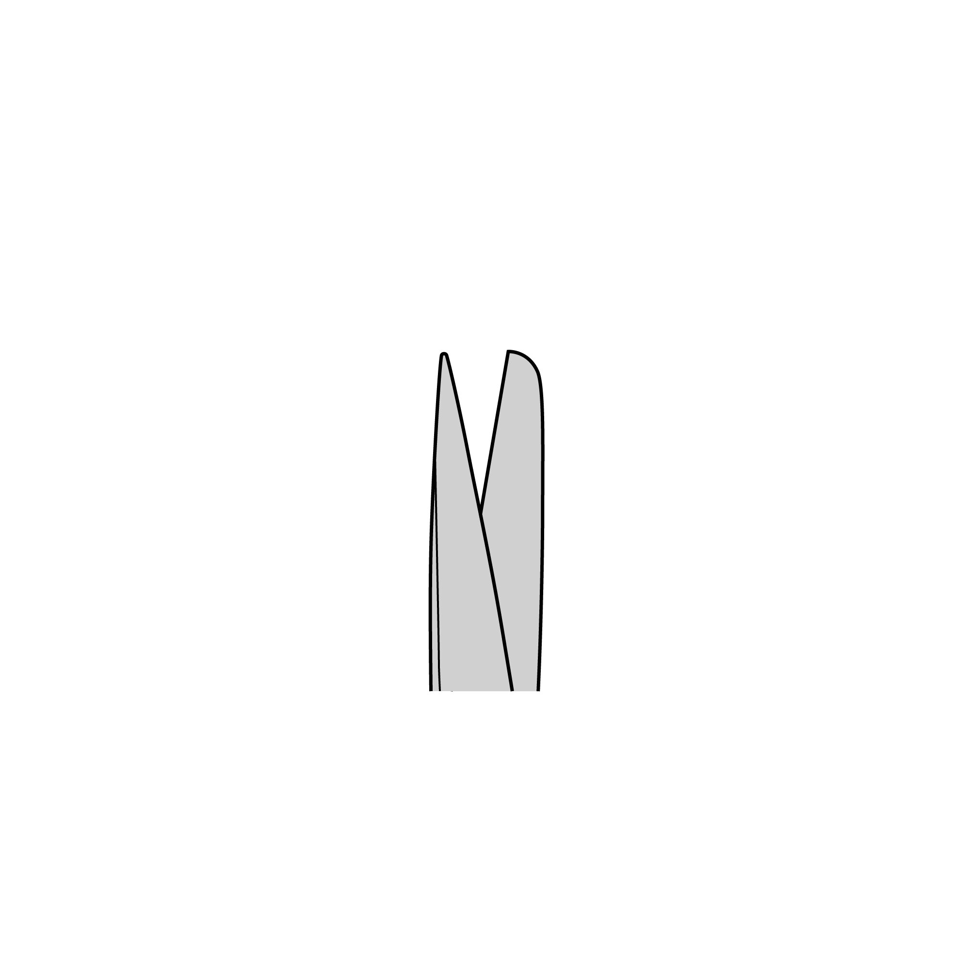 Standard Surgical Scissors - Large Loops | 14101-14