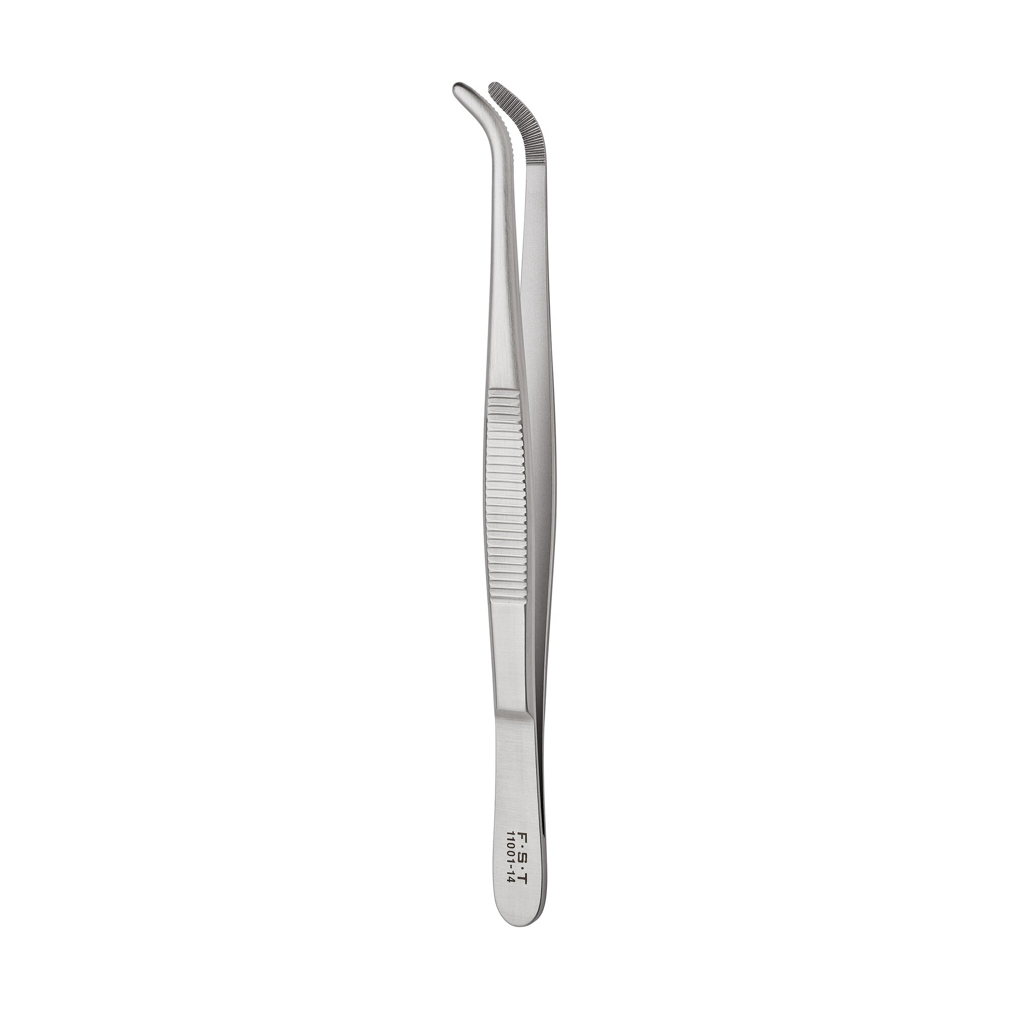 Anatomical Standard Forceps - Curved | 11001-14