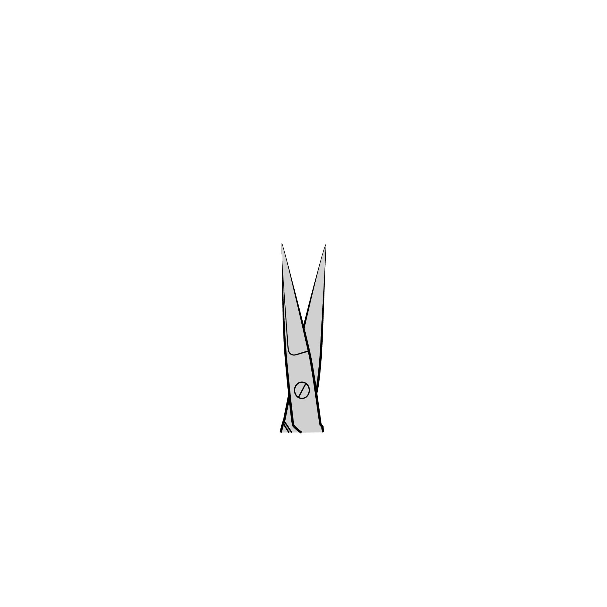 Noyes Spring Scissors | 15012-12