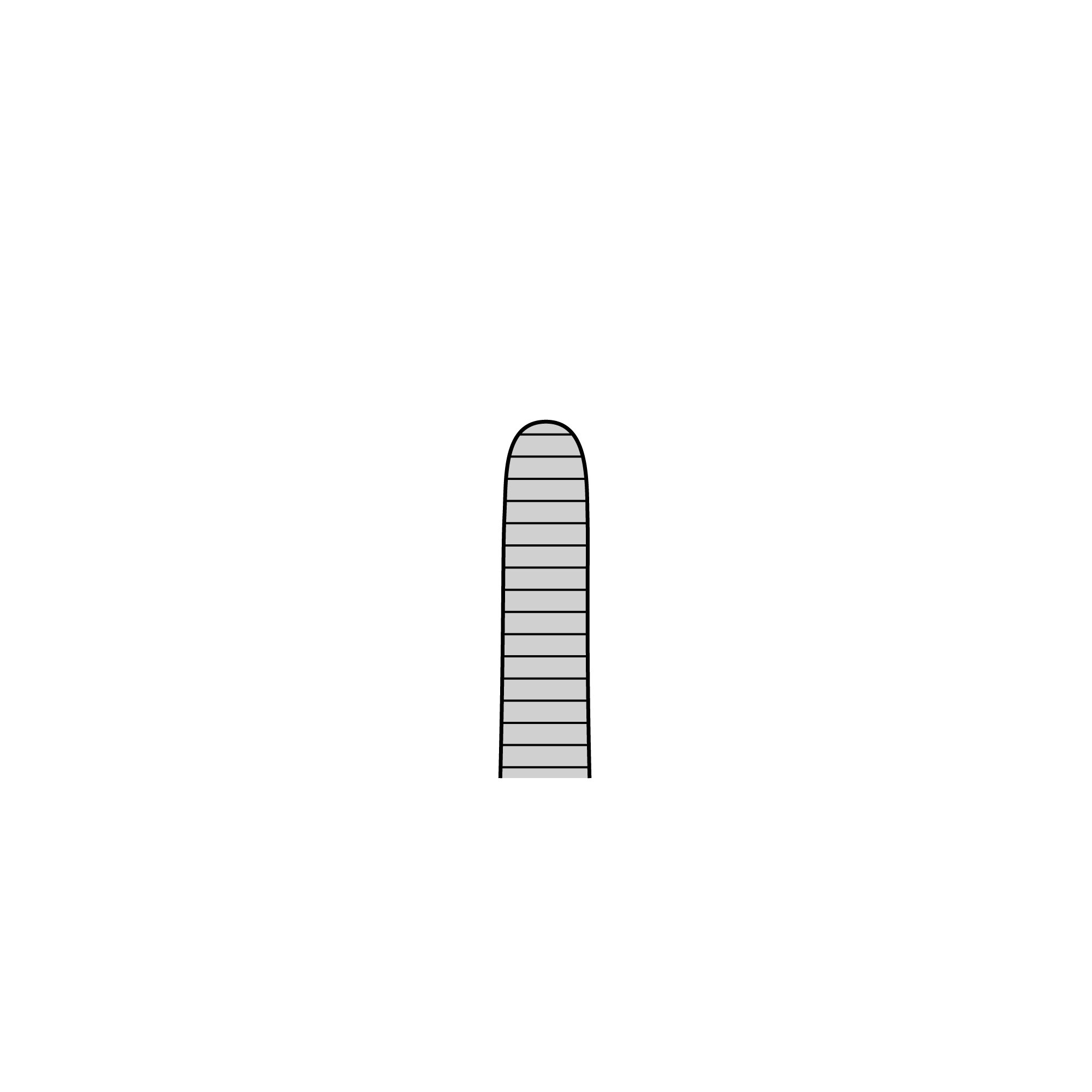 Anatomical Standard Forceps - Straight | 11000-13