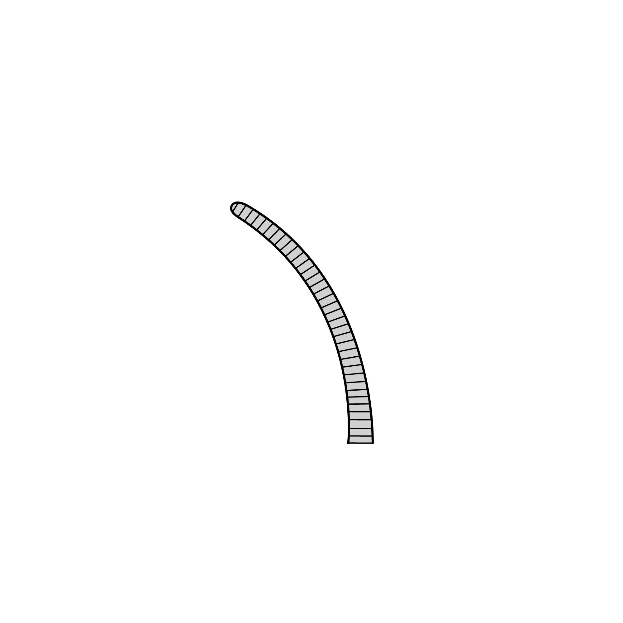 Gerald Forceps | 11015-18