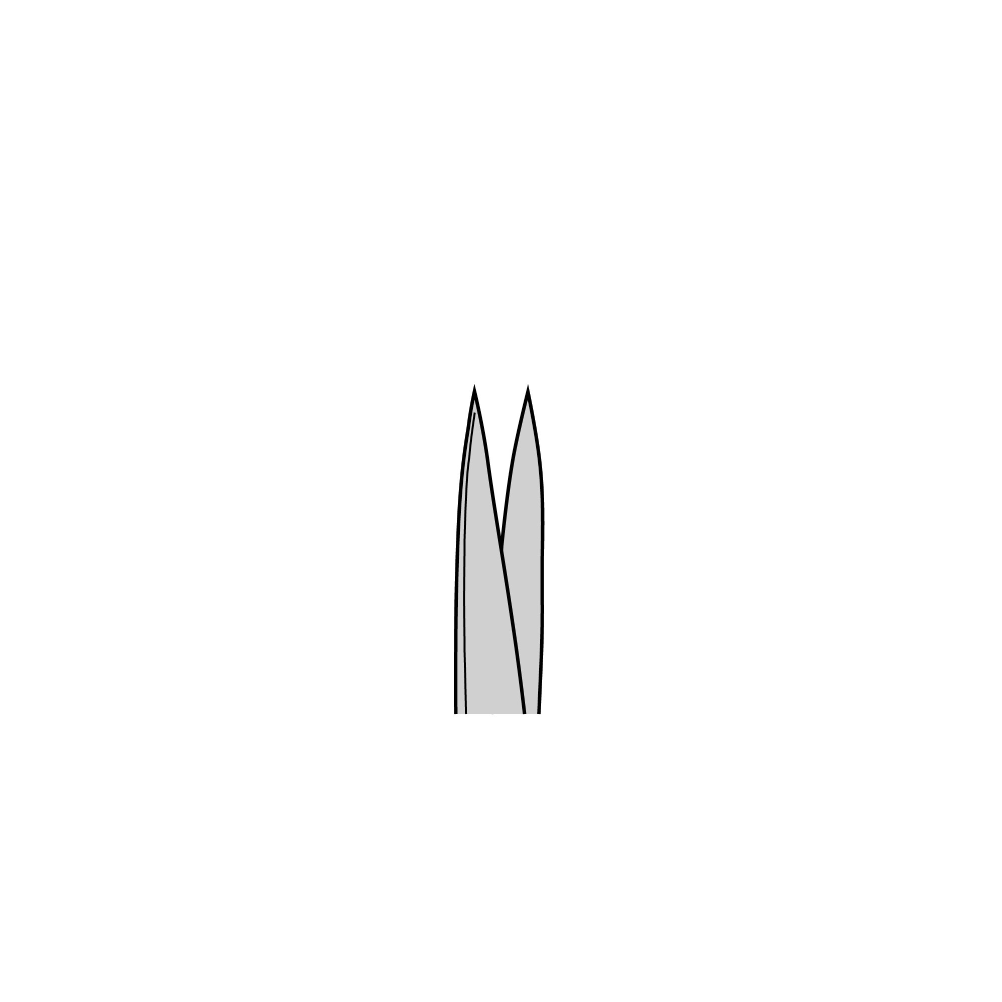 Standard Surgical Scissors - Sharp/Sharp | 14002-13