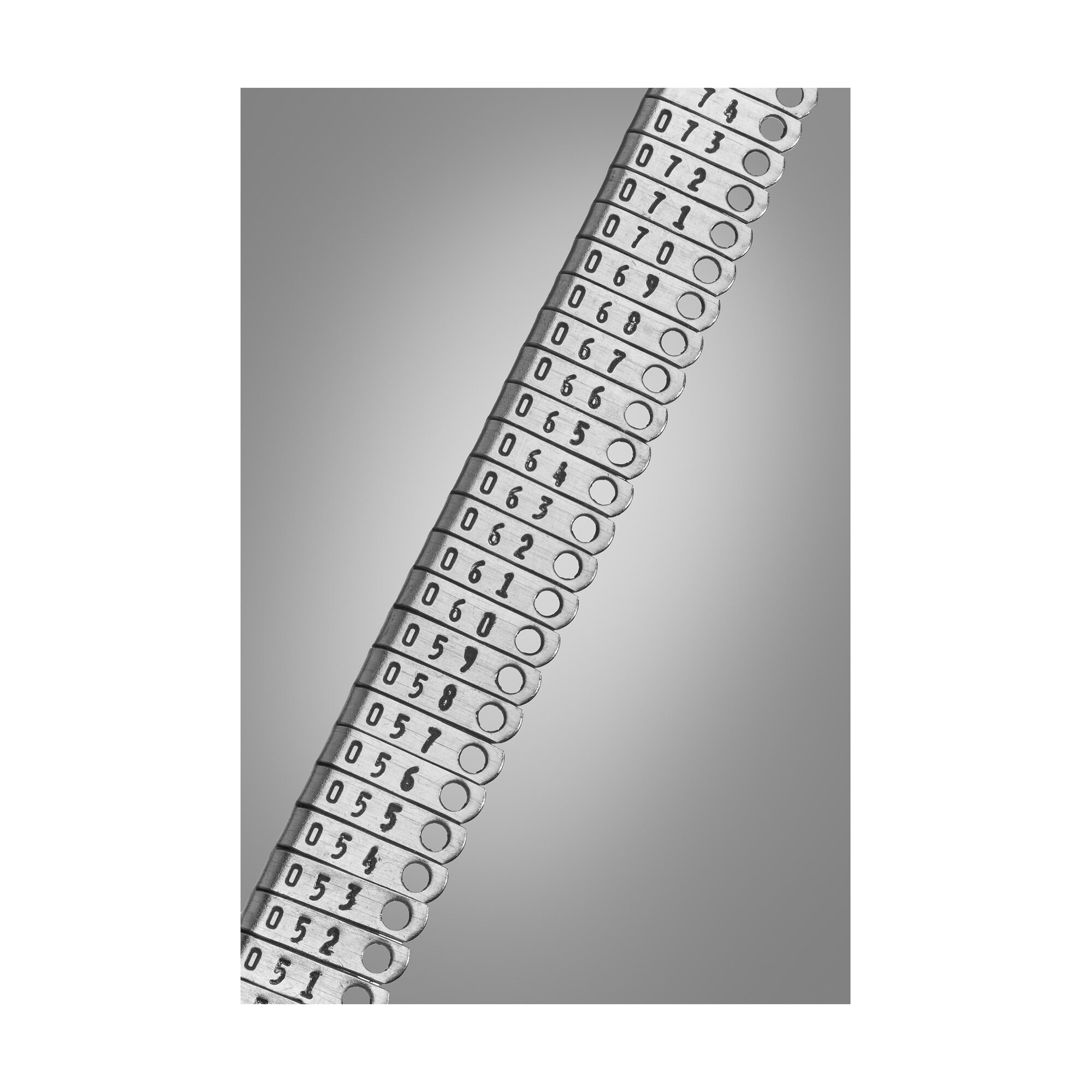 Self-Piercing Ear Tags (Black inked) | 24220-10