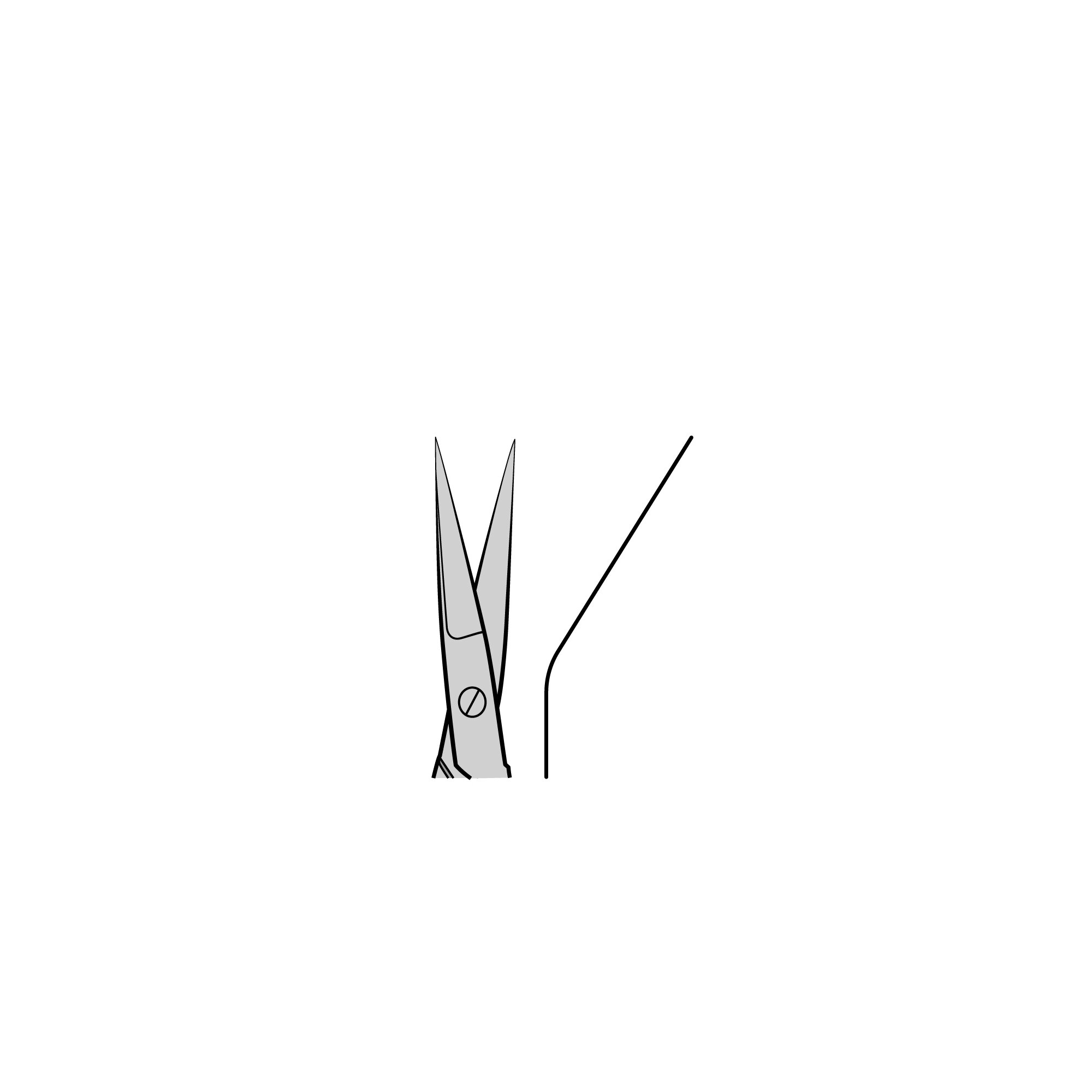 Noyes Spring Scissors | 15013-12