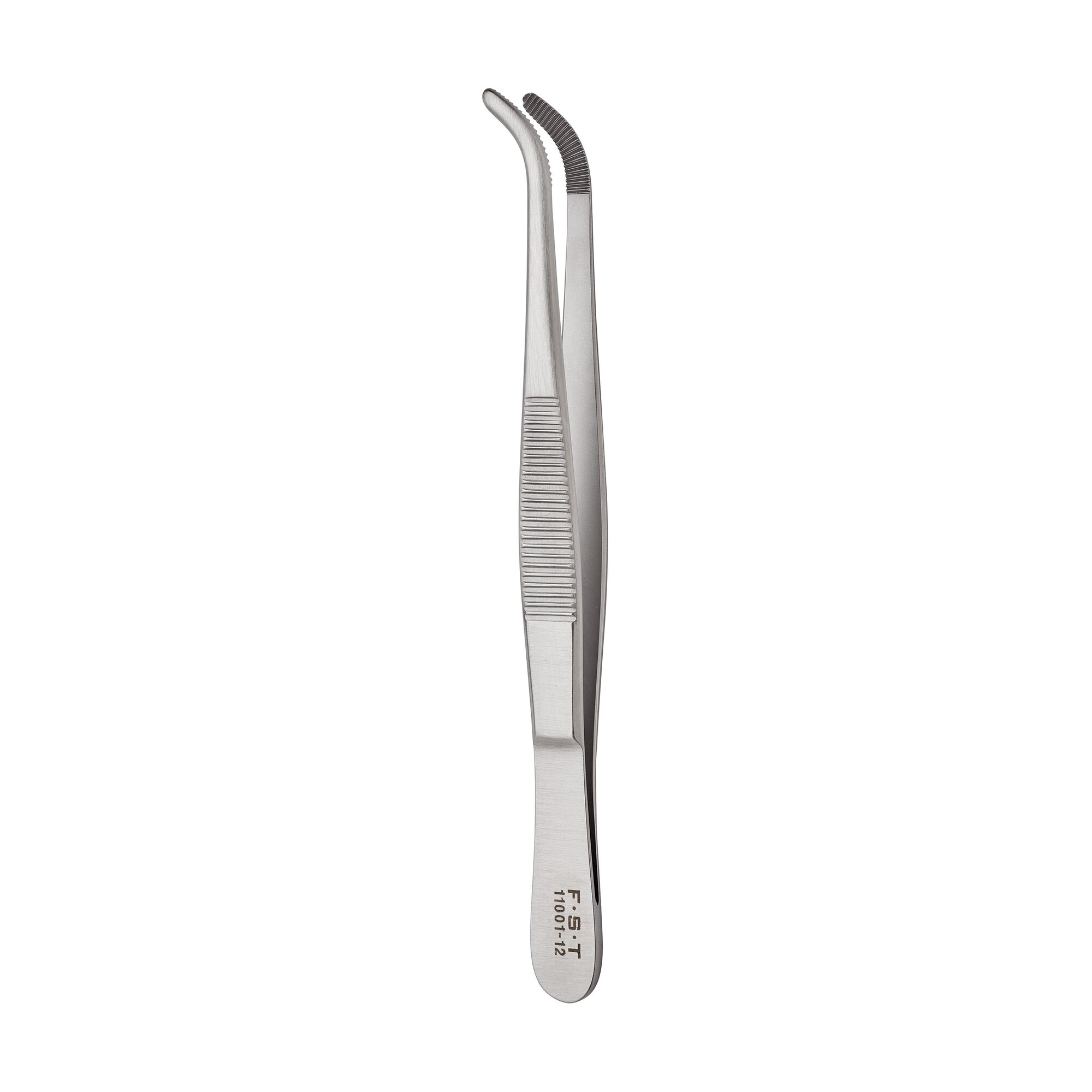 Anatomical Standard Forceps - Curved | 11001-12-container