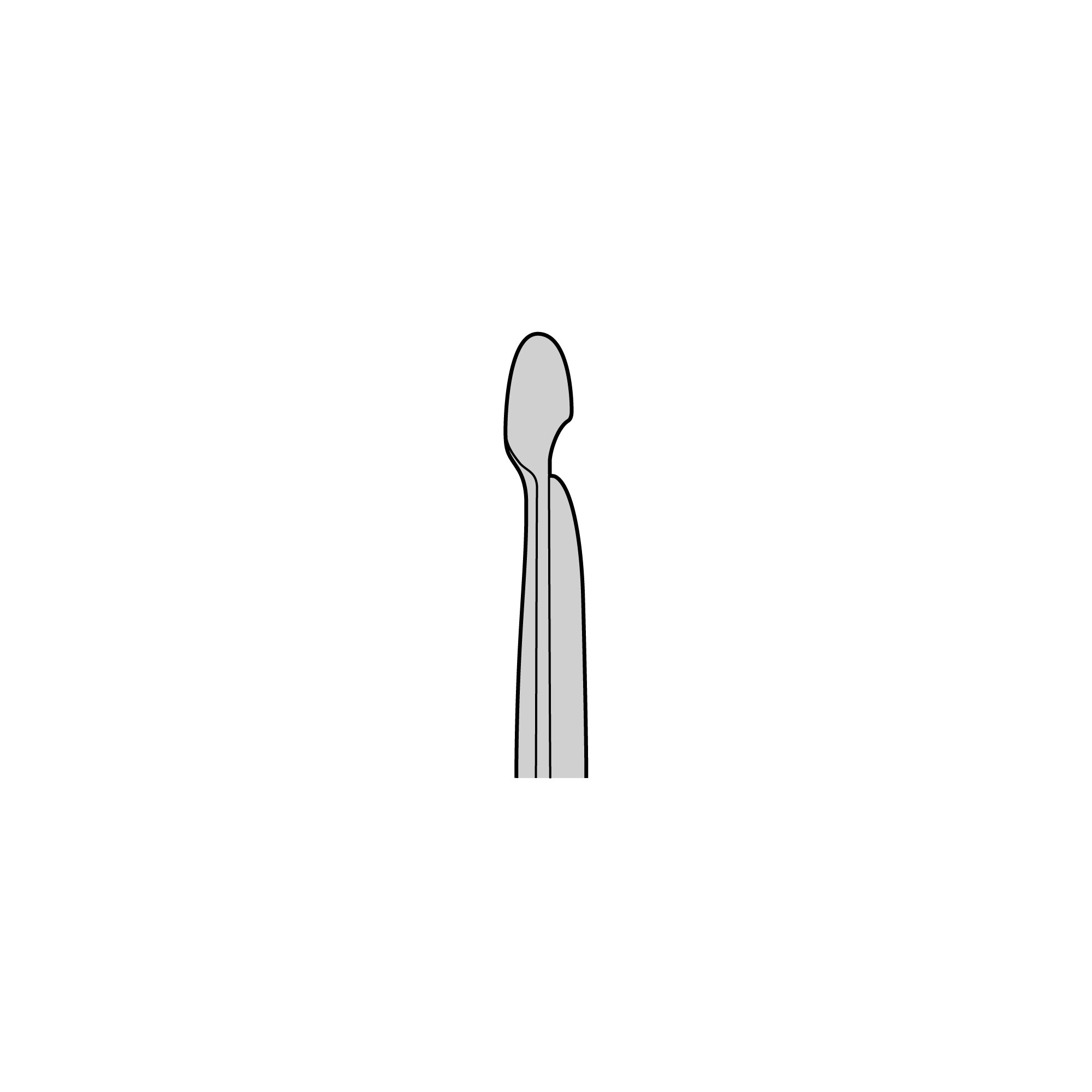 Student Lister Scissors | 91413-20