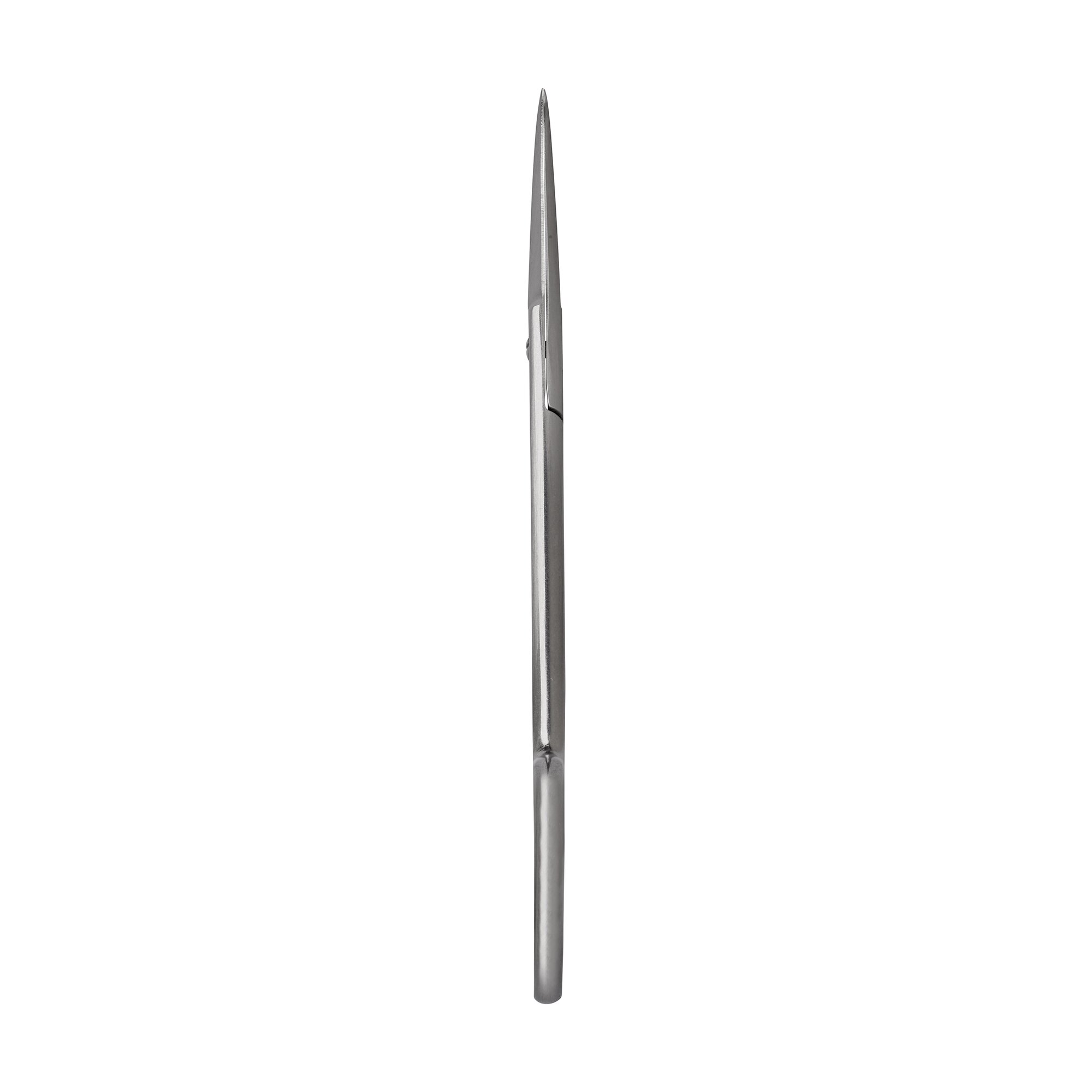 Iris Scissors | 14062-09
