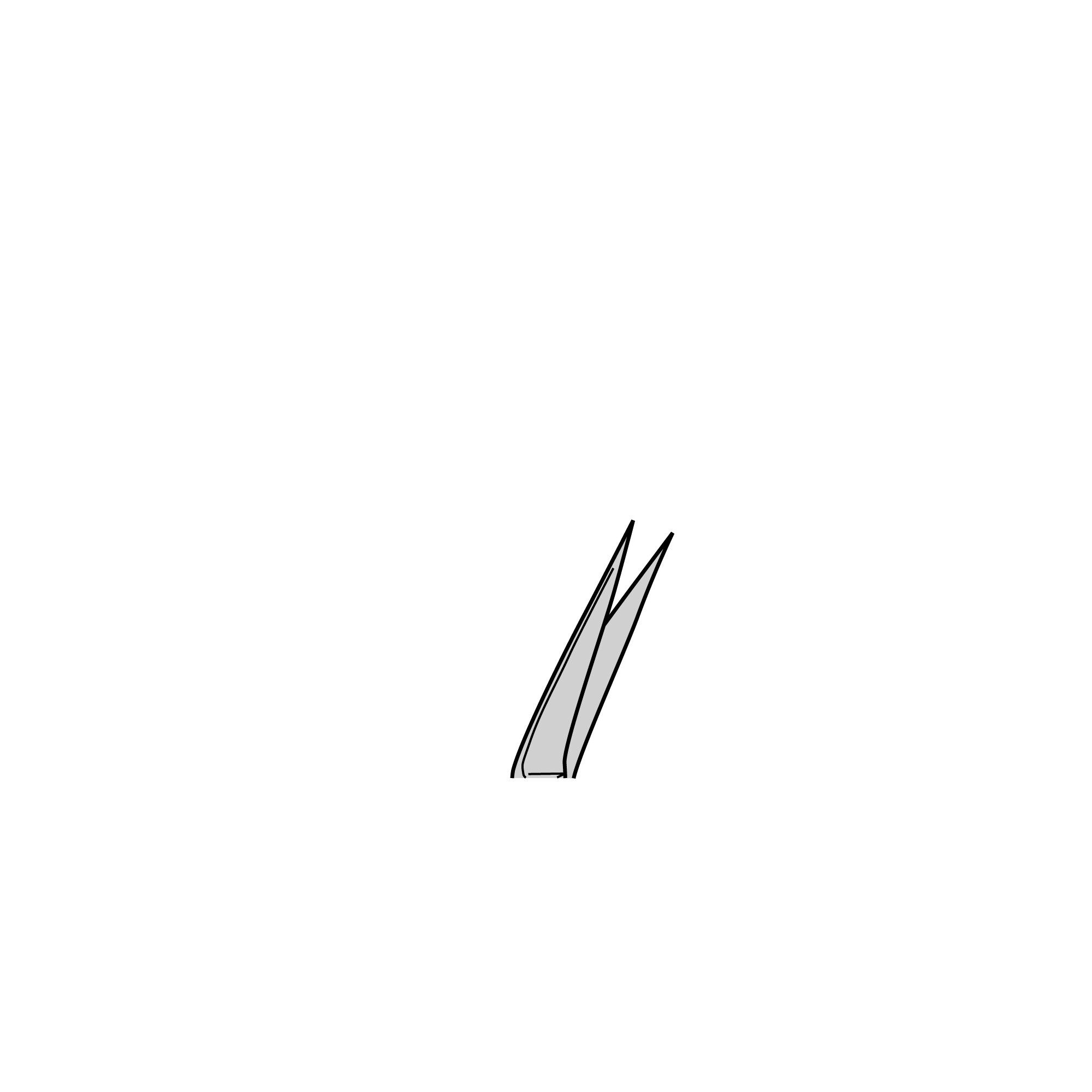 Iris Scissors | 14063-09
