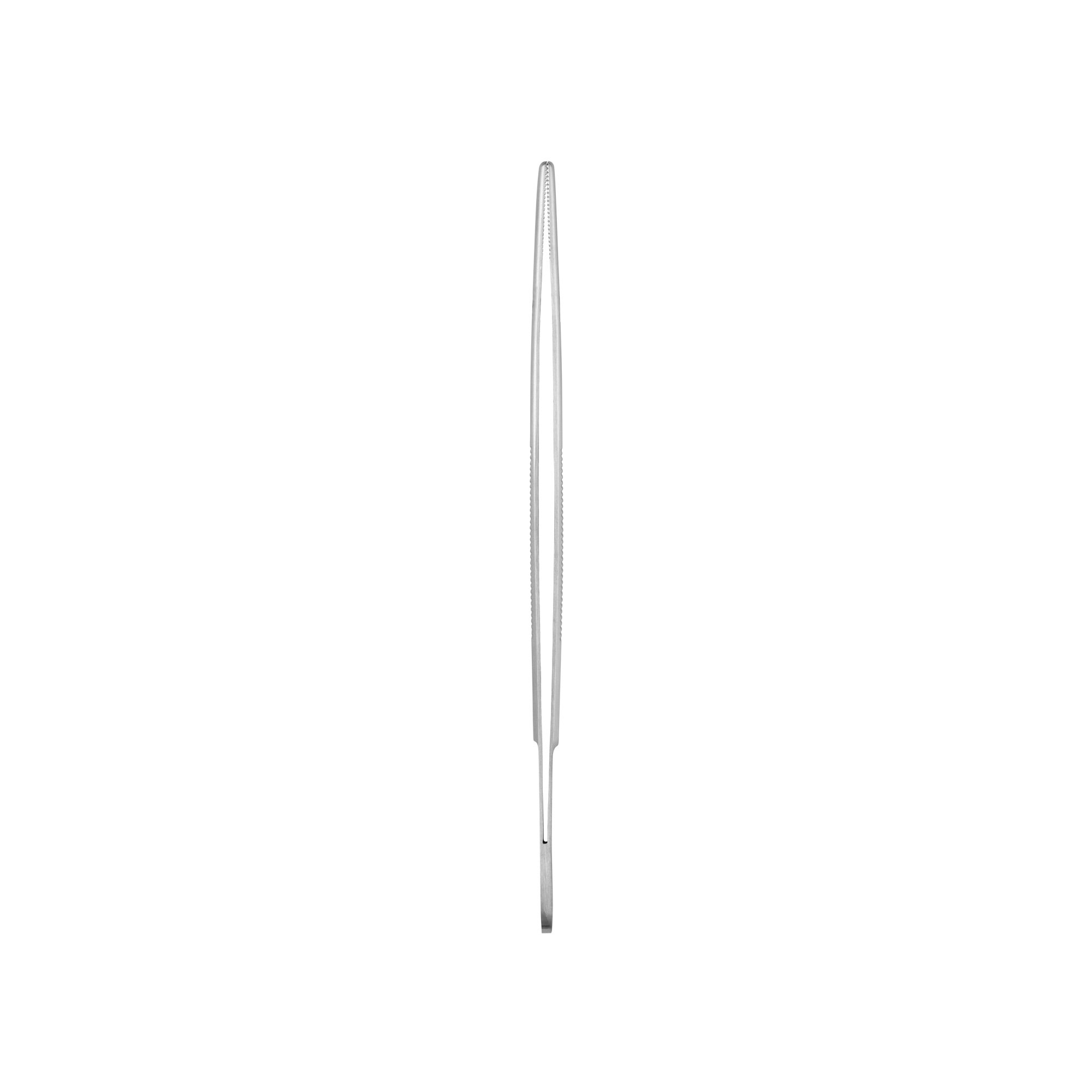 Student Anatomical Standard Forceps | 91100-17
