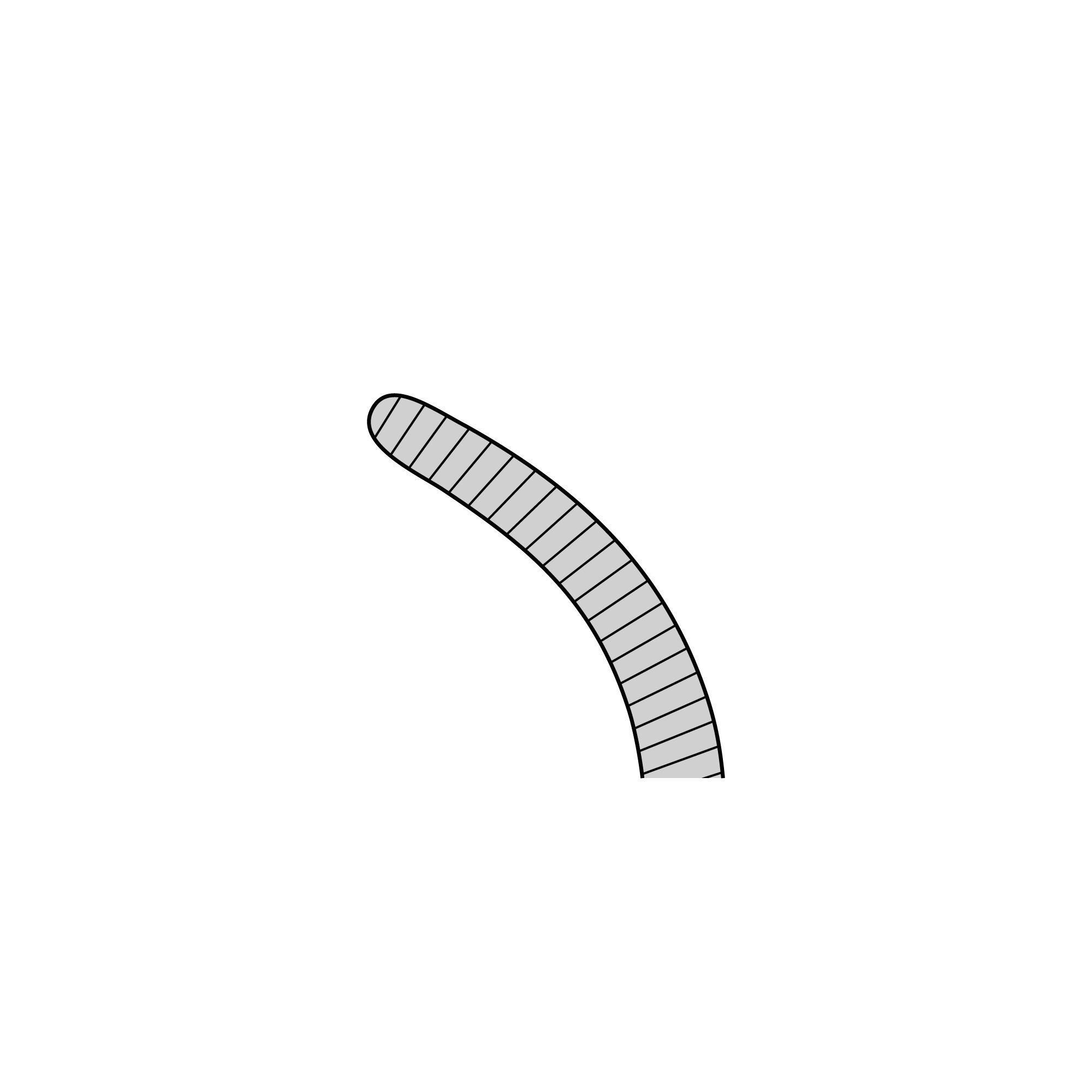 Anatomical Narrow Forceps - Curved | 11003-14