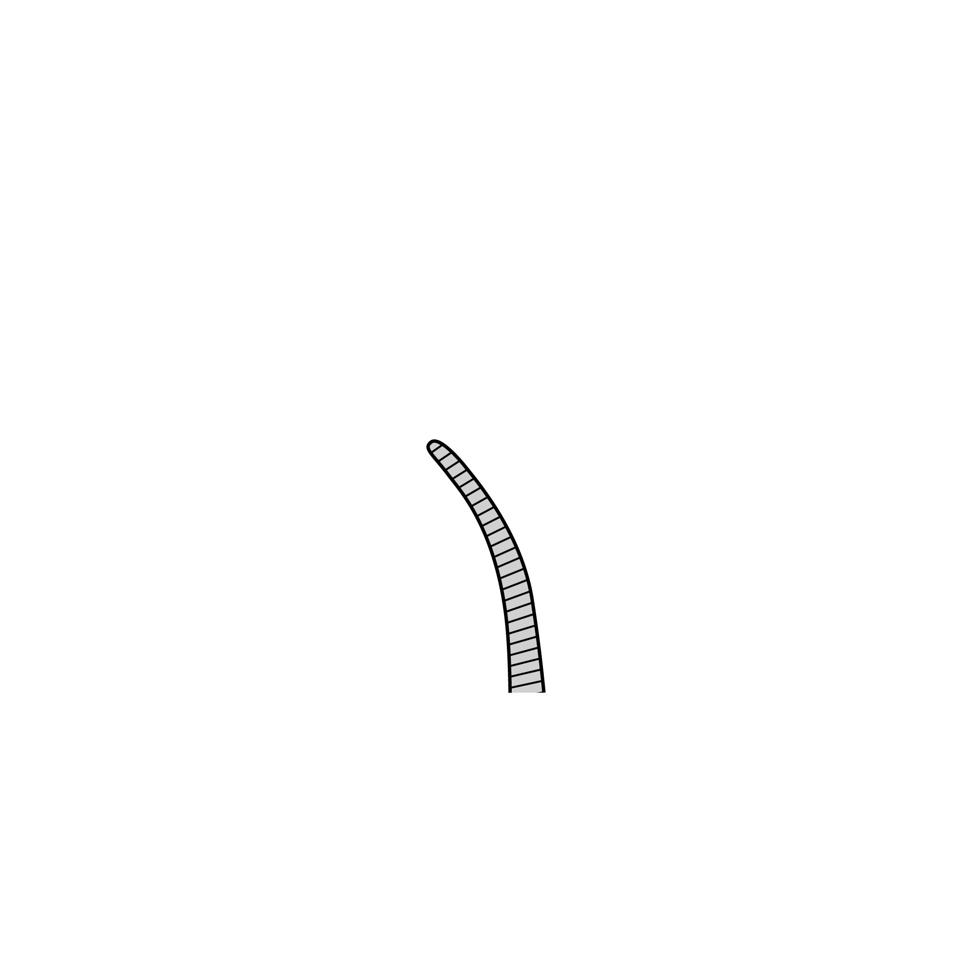 Student Hartmann Hemostat | 91303-10