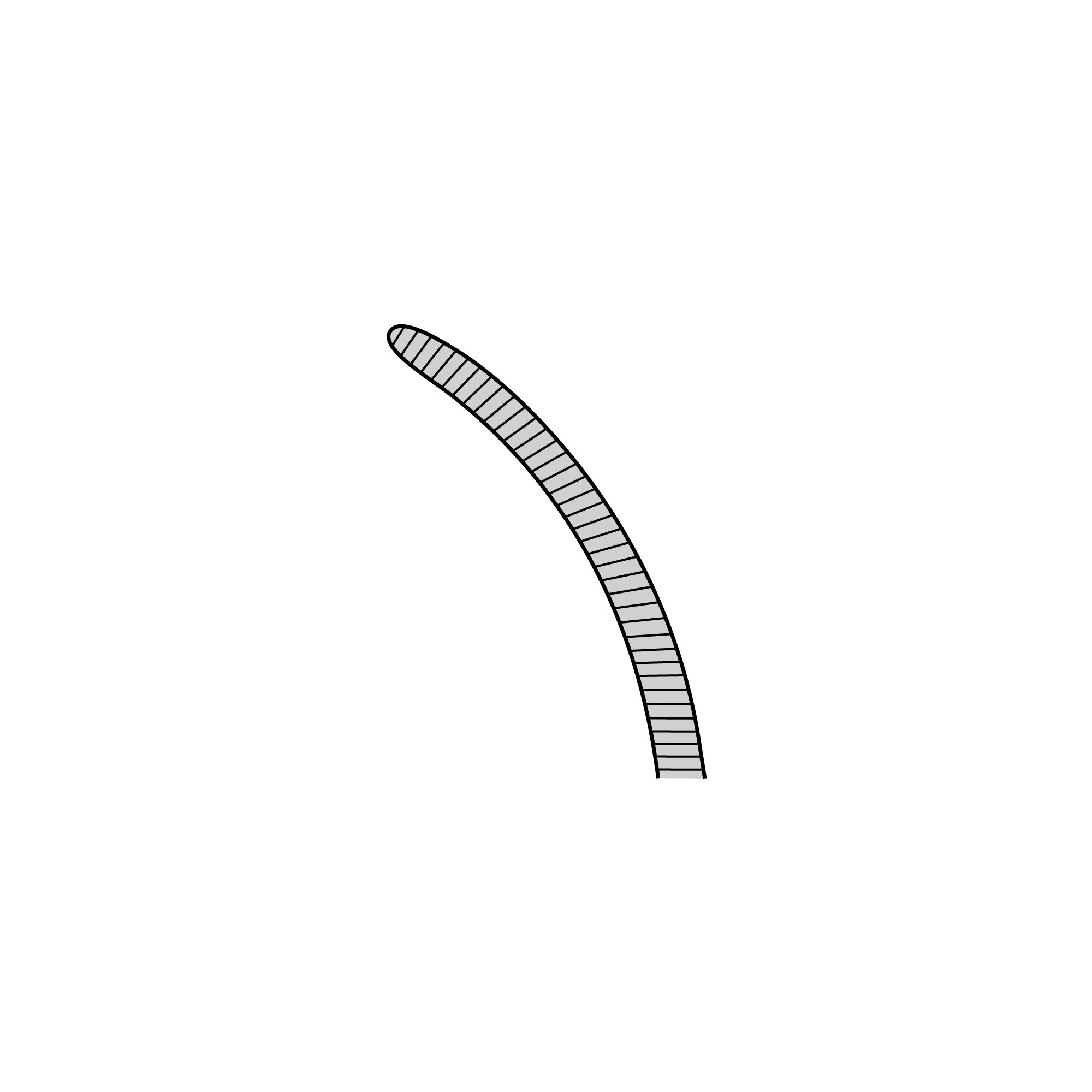 Potts-Smith Forceps | 11013-21