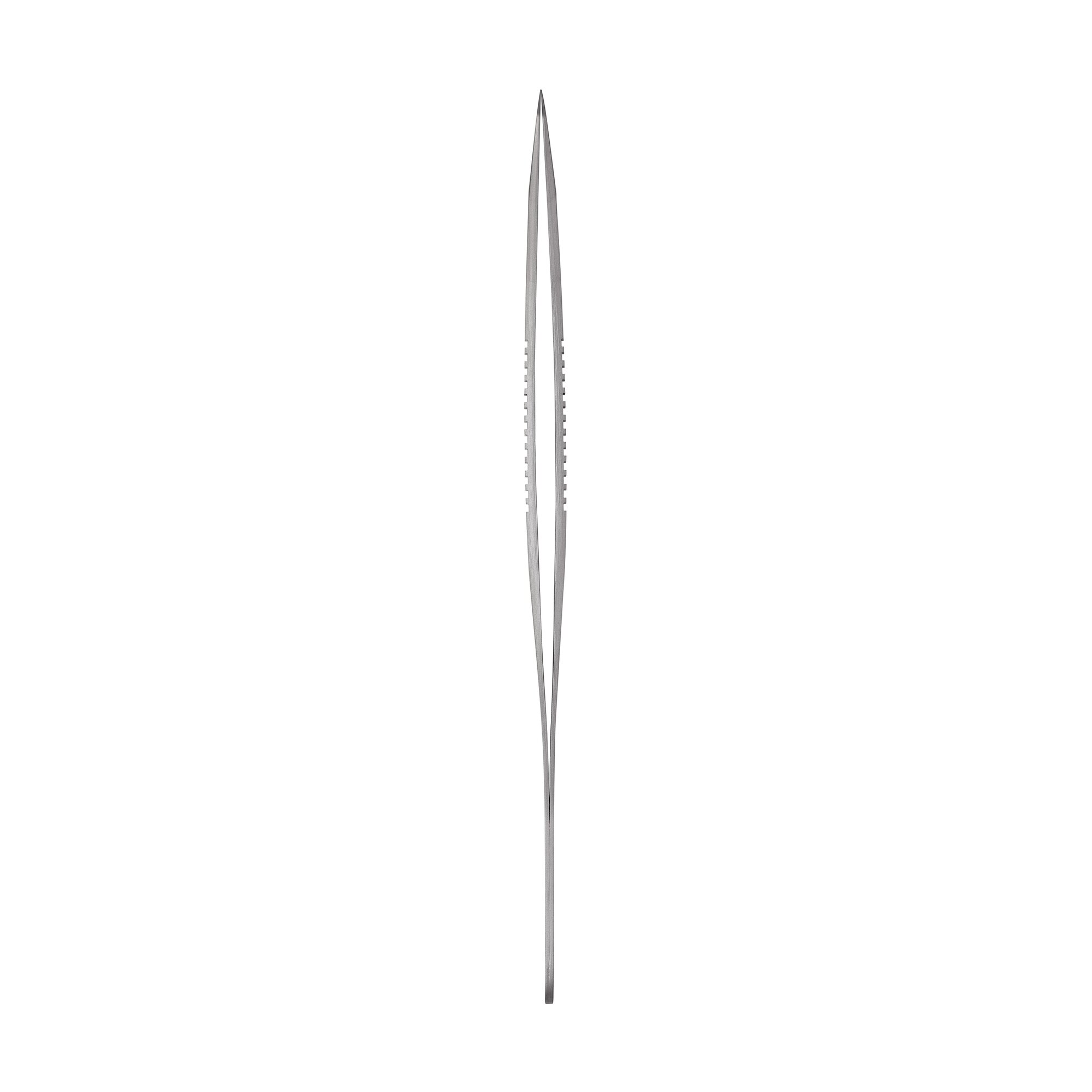 Dumont SS Forceps | 11203-25