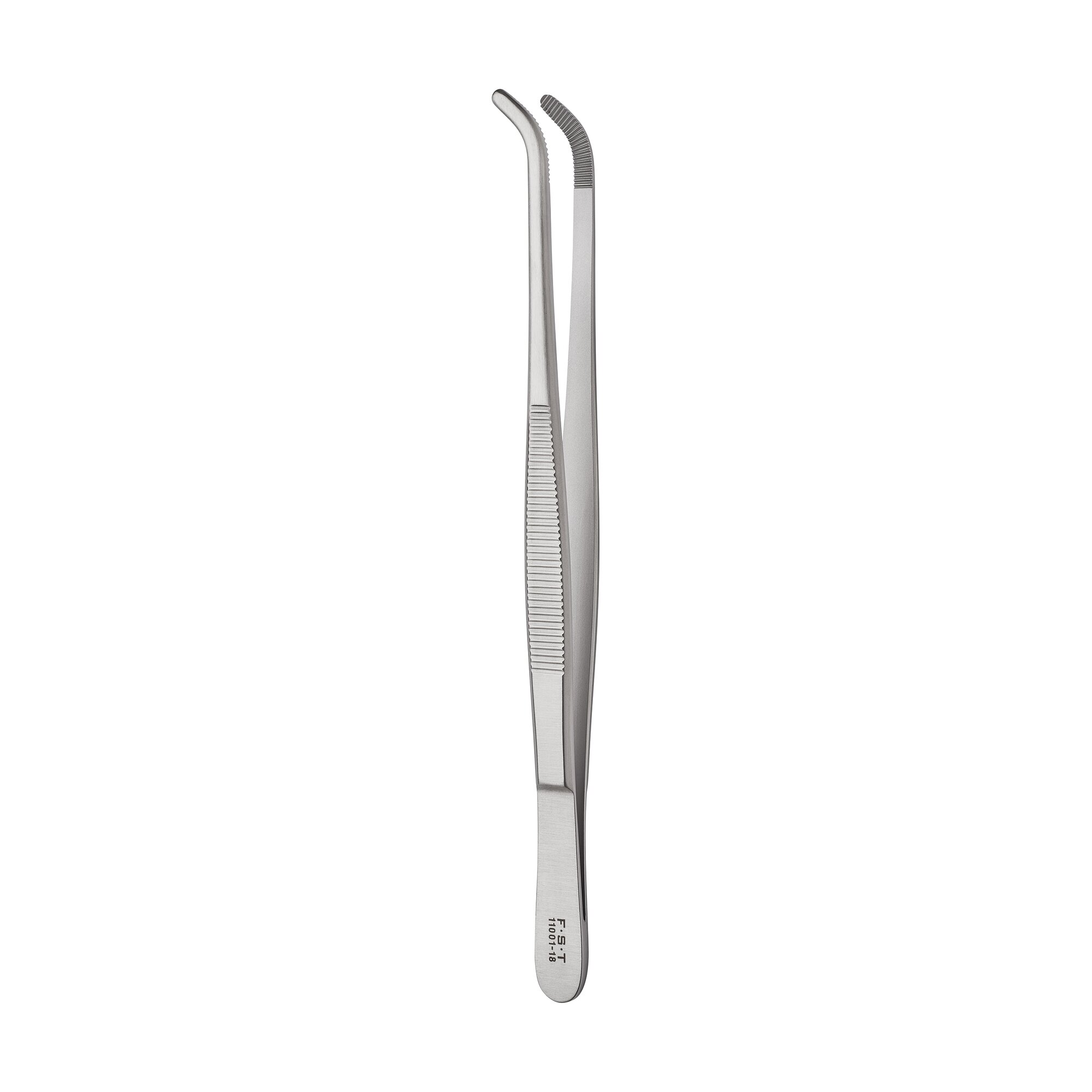Anatomical Standard Forceps - Curved | 11001-18