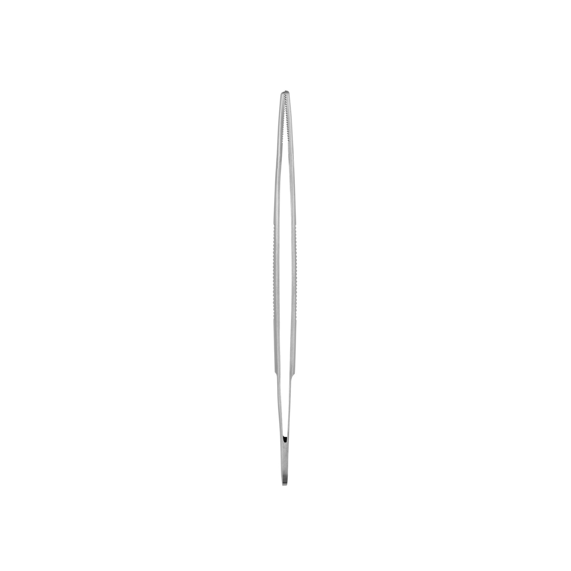 Student Anatomical Standard Forceps | 91100-14