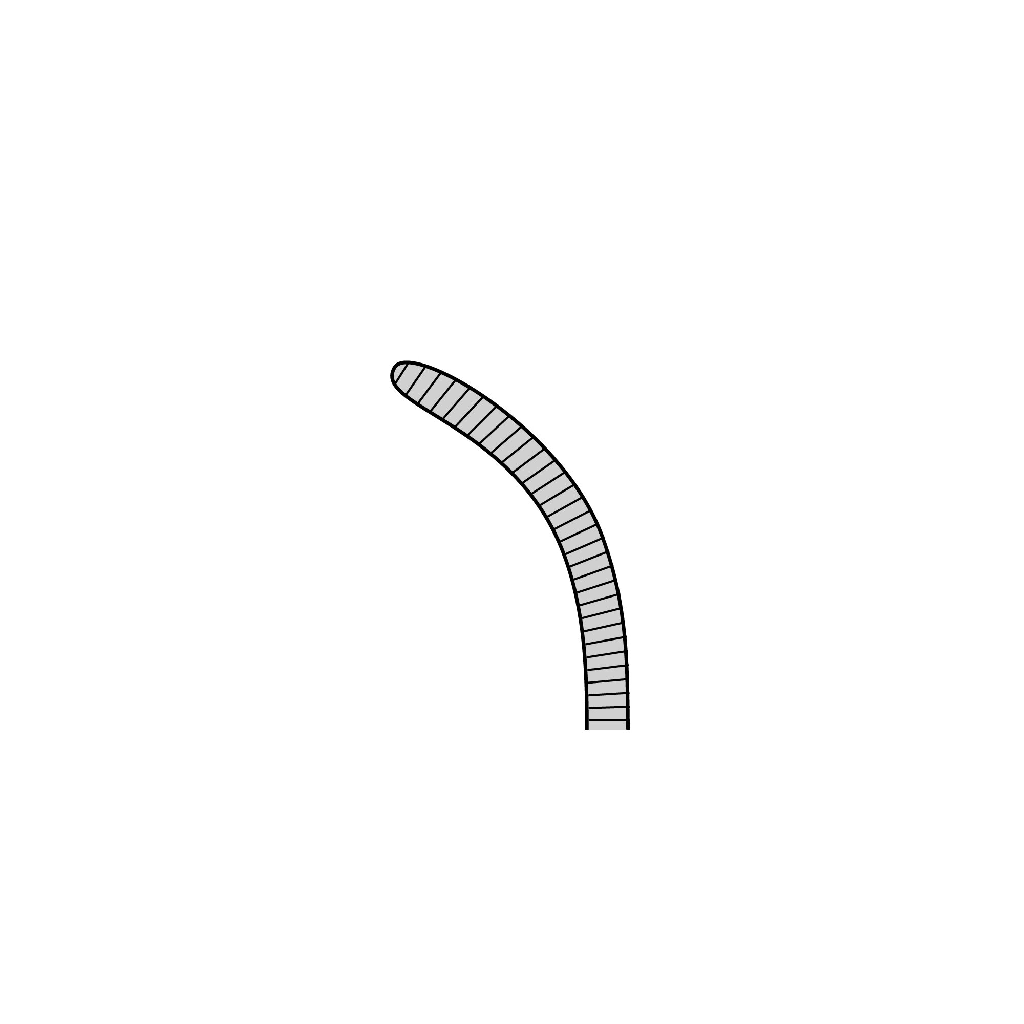 Semken Anatomical Forceps | 11009-15