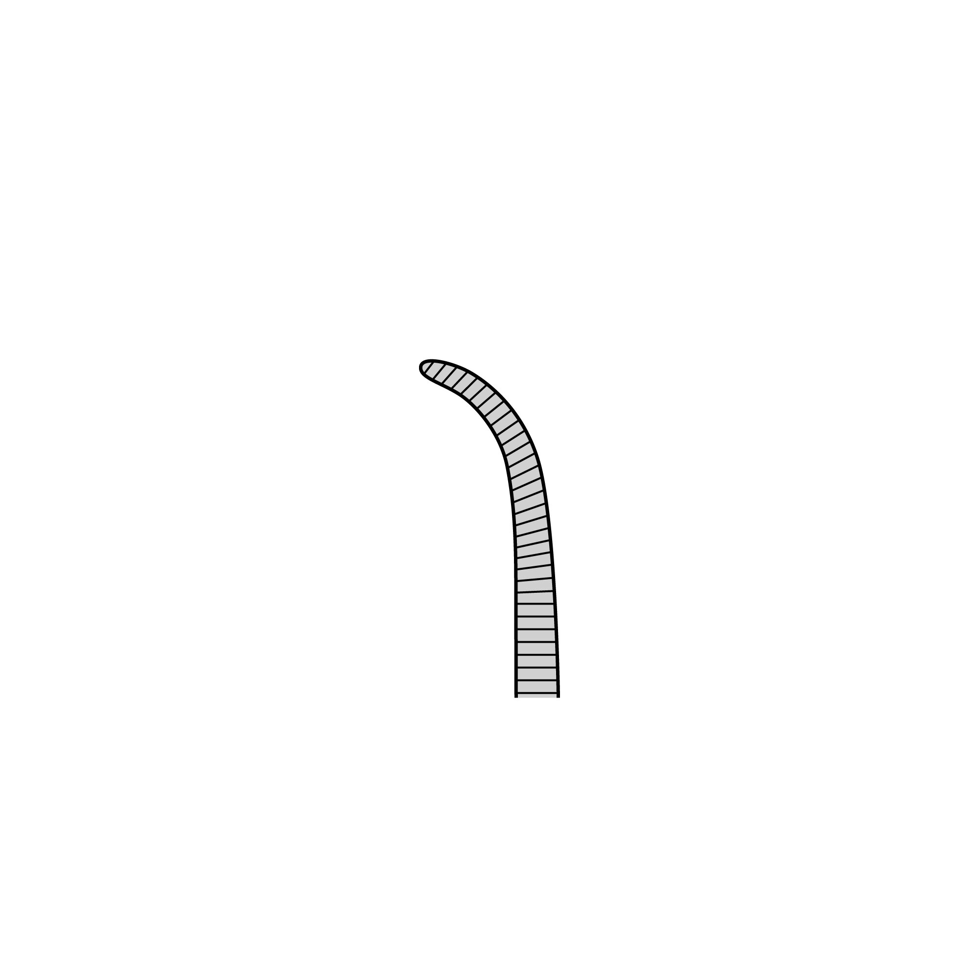 Adson-Baby Hemostat | 13013-14
