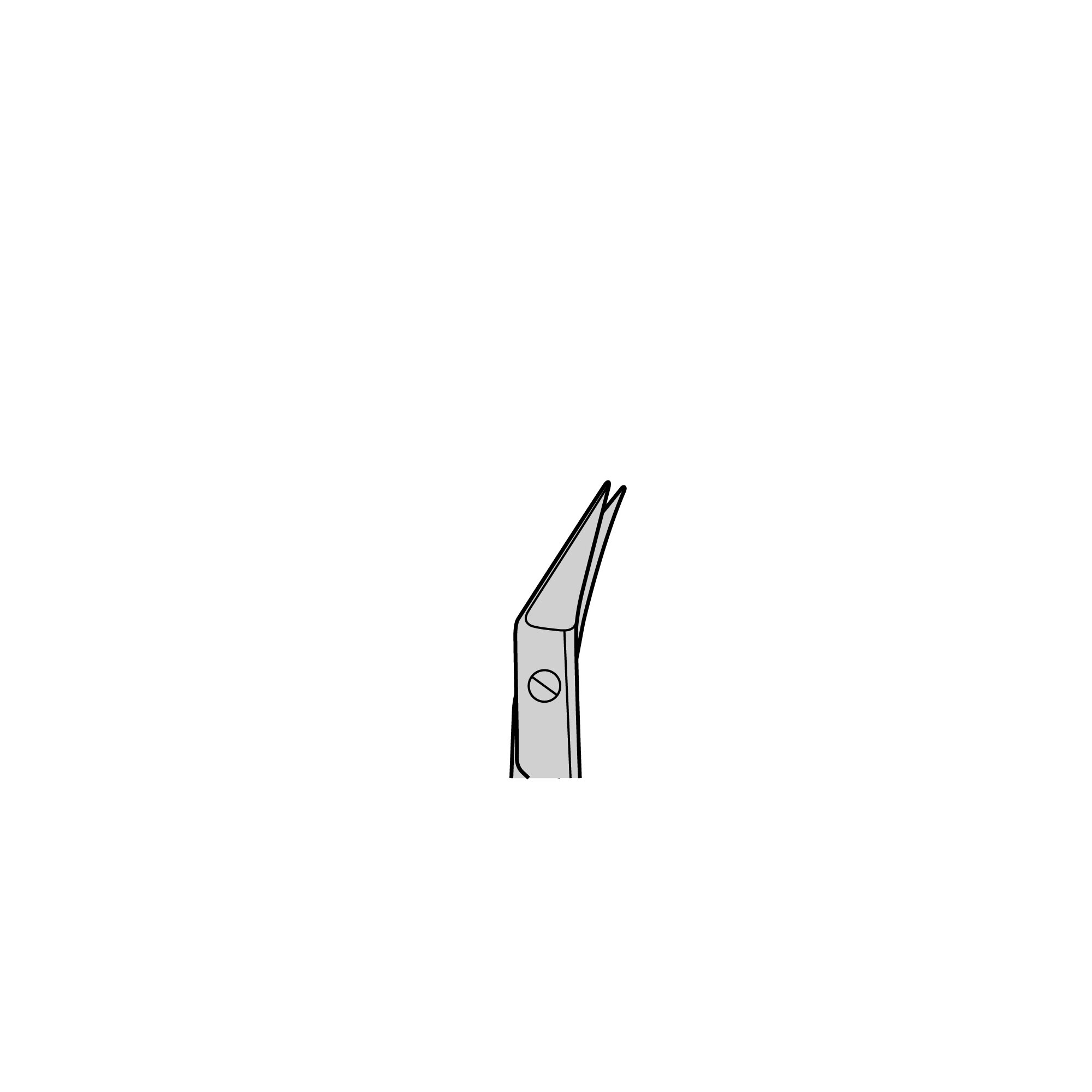 Dissecting Scissors | 14082-09