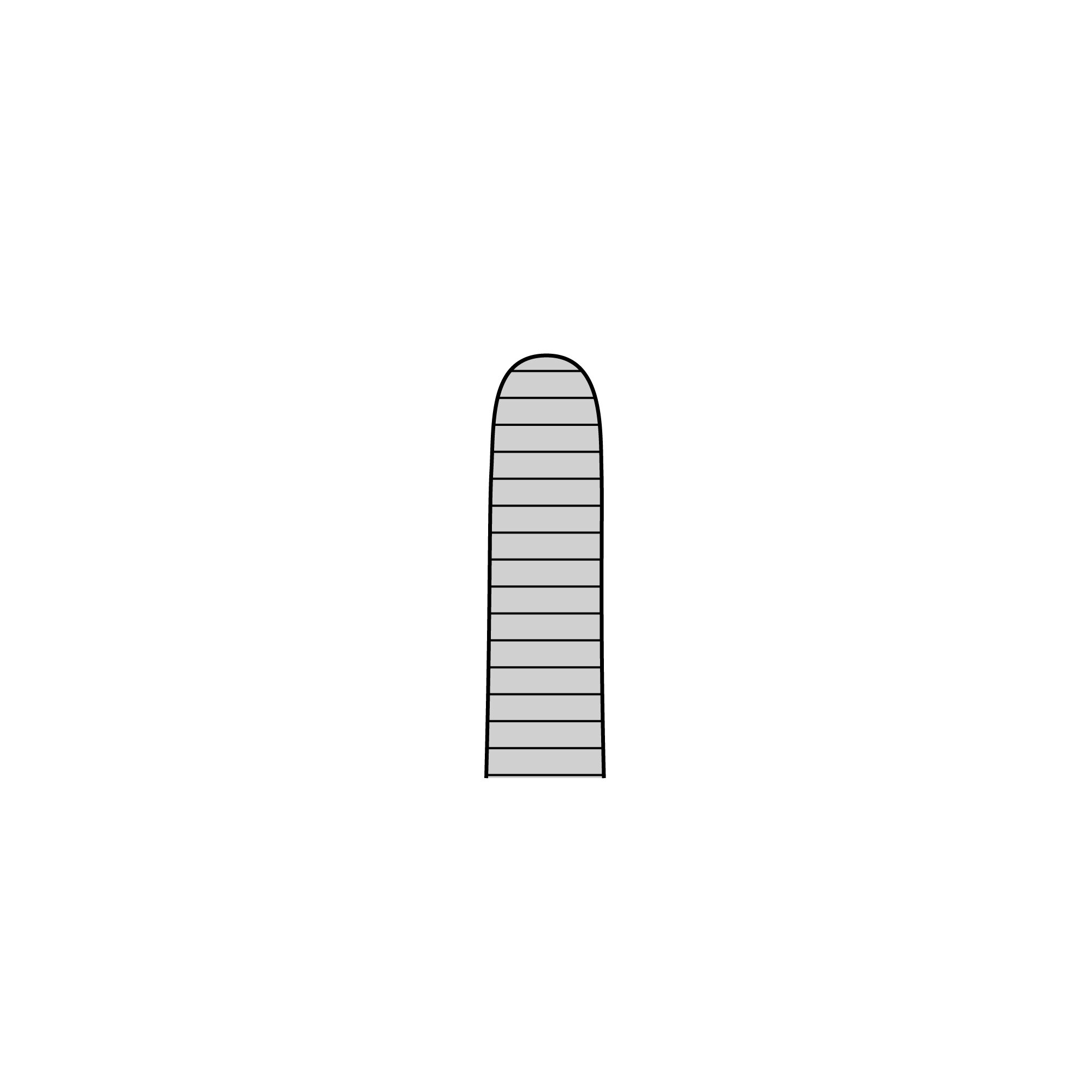 Anatomical Standard Forceps - Straight | 11000-18