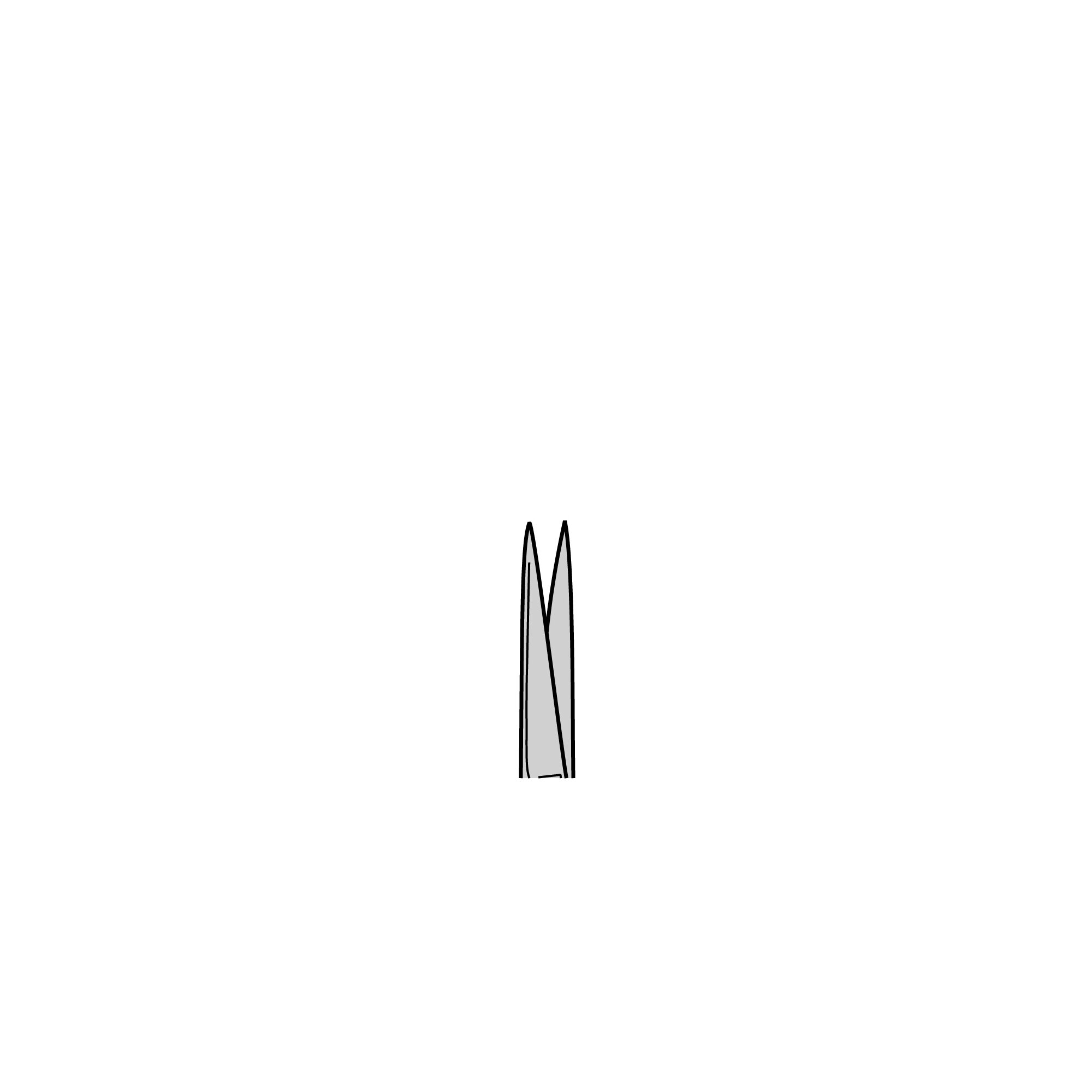 Iris Scissors | 14060-09