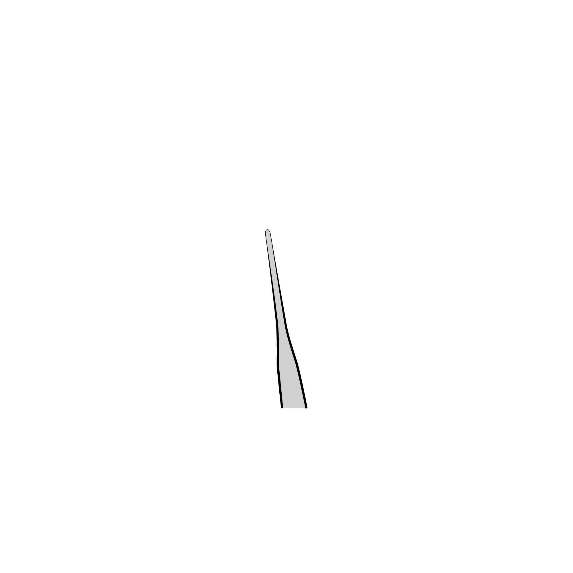 Vessel Dilating Forceps | 18132-12