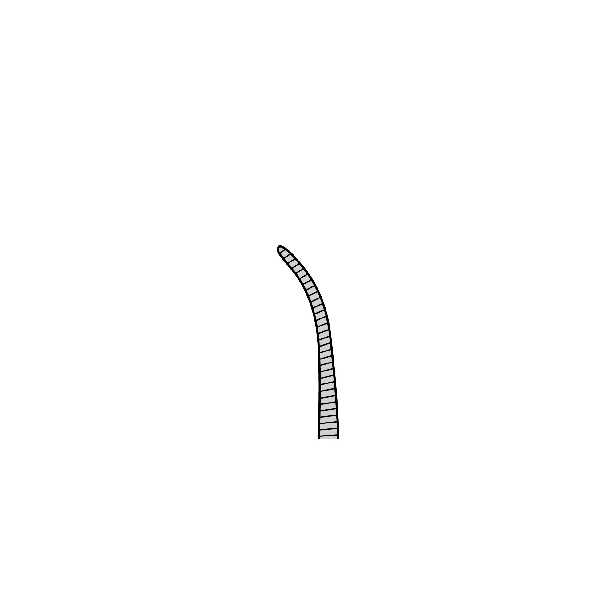 Micro-Mosquito Hemostat | 13011-12