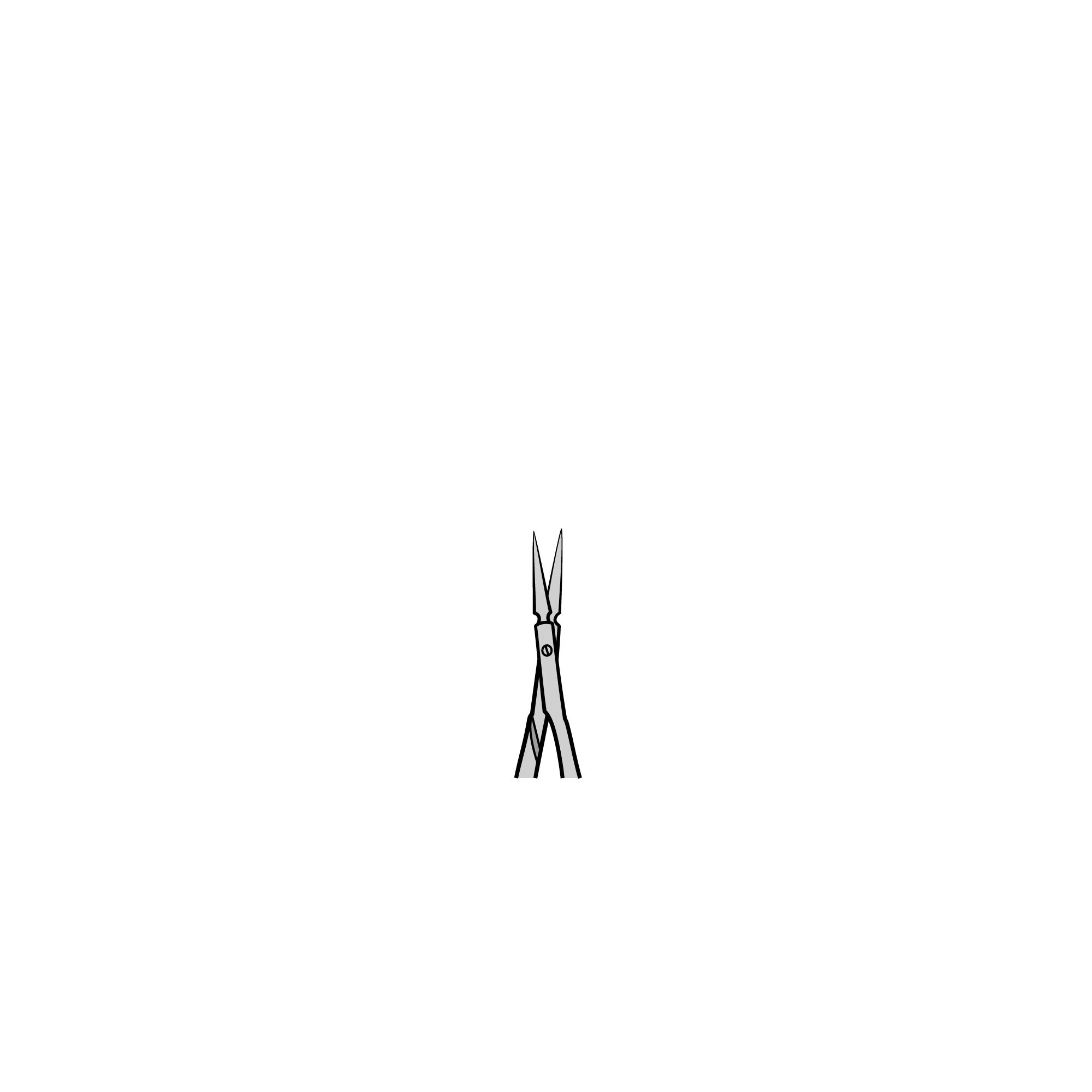 Vannas Spring Scissors - Highly Polished | 15903-08