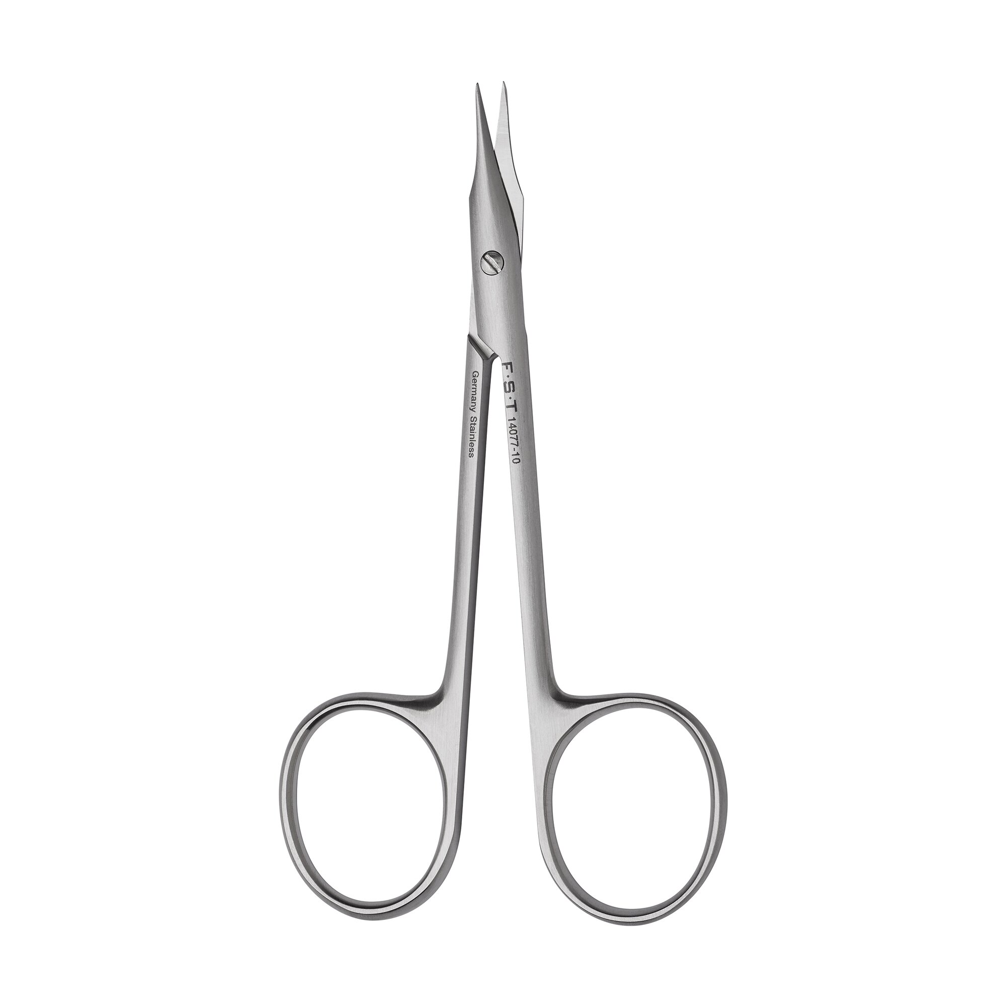 Walton Scissors | 14077-10
