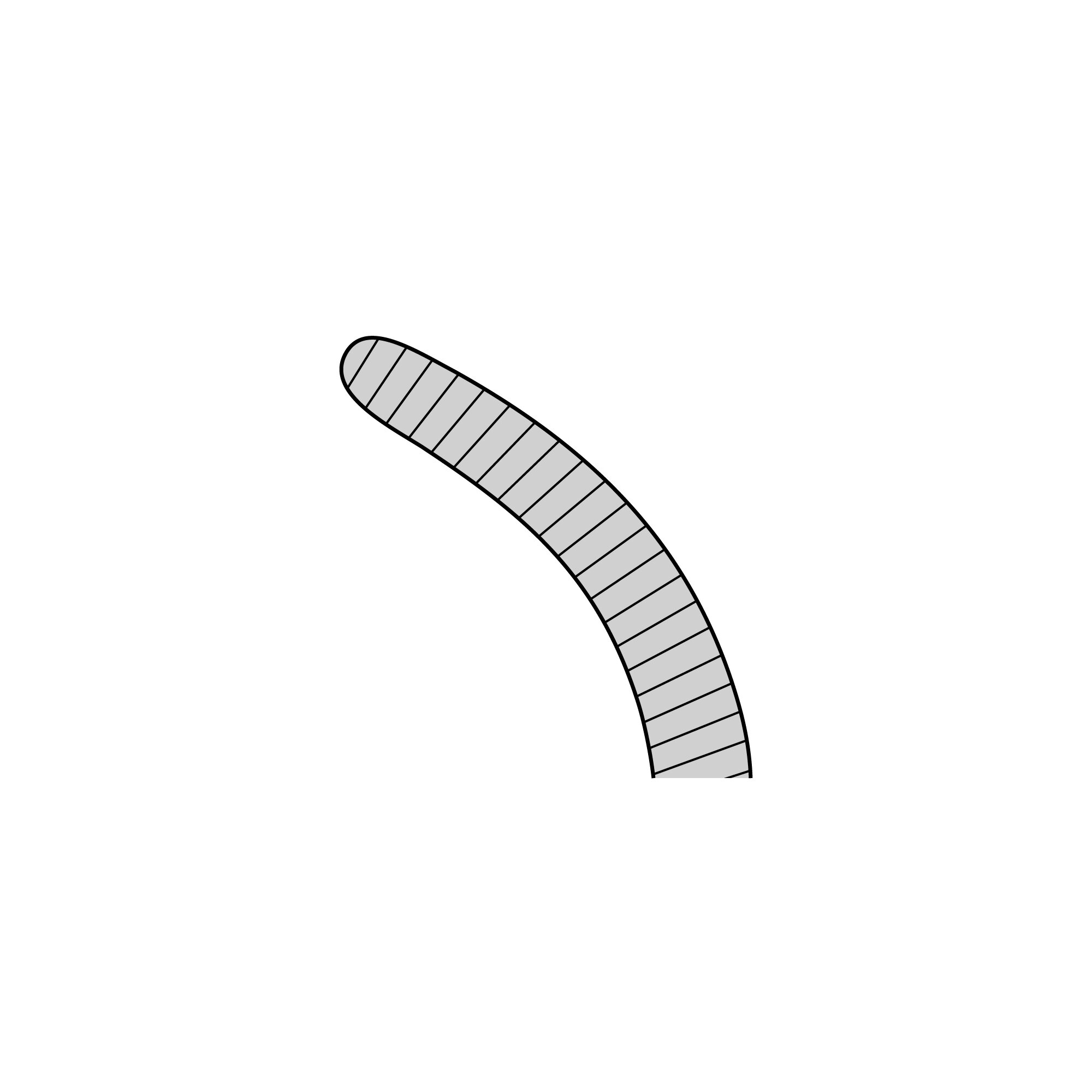 Anatomical Narrow Forceps - Curved | 11003-20