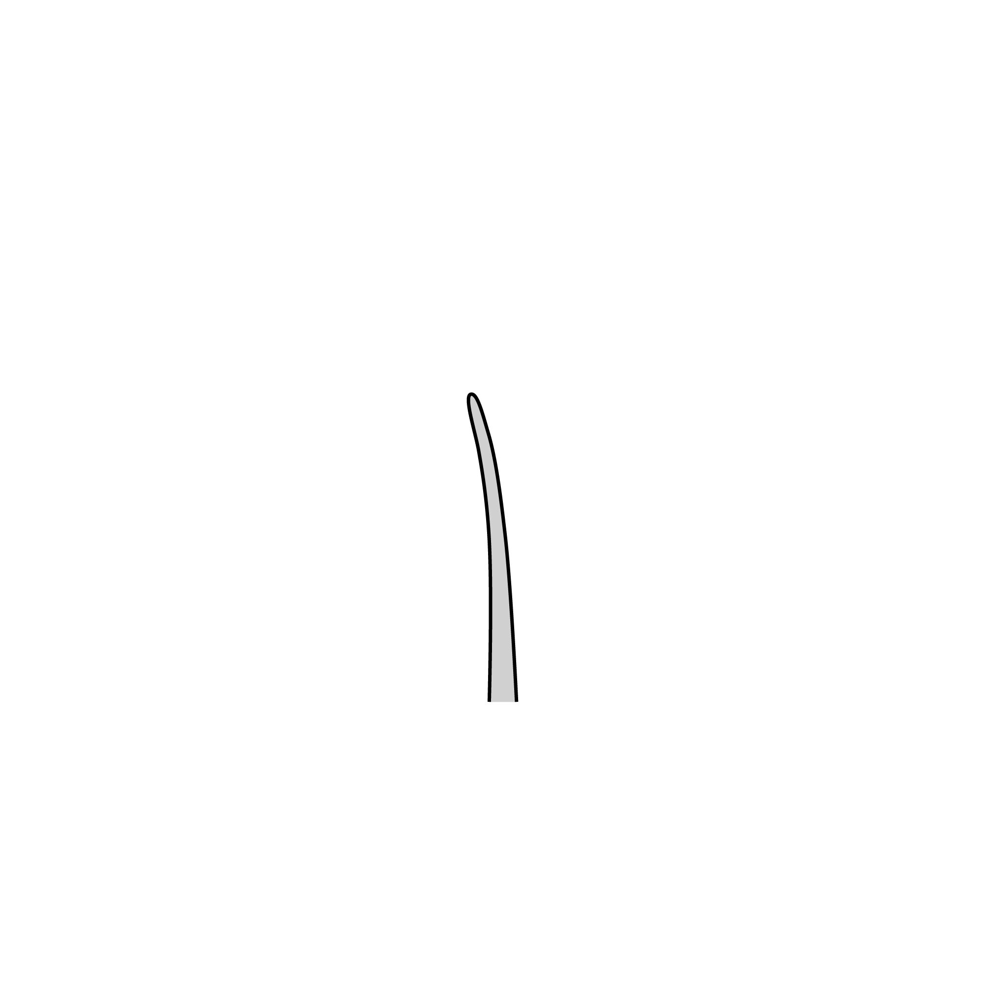 Fine Hemostat | 13007-12