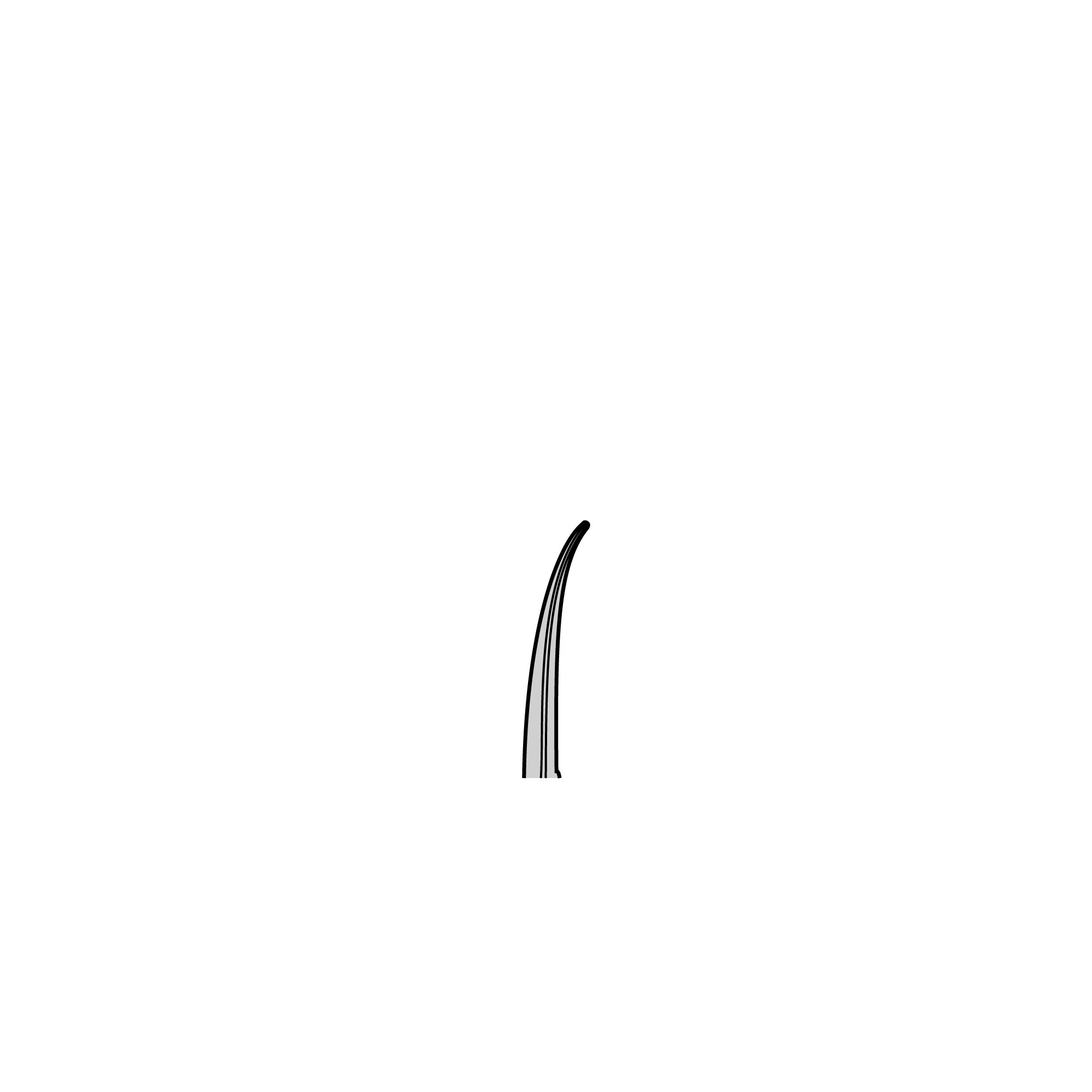 Iris Scissors - Partly Polished | 14091-09