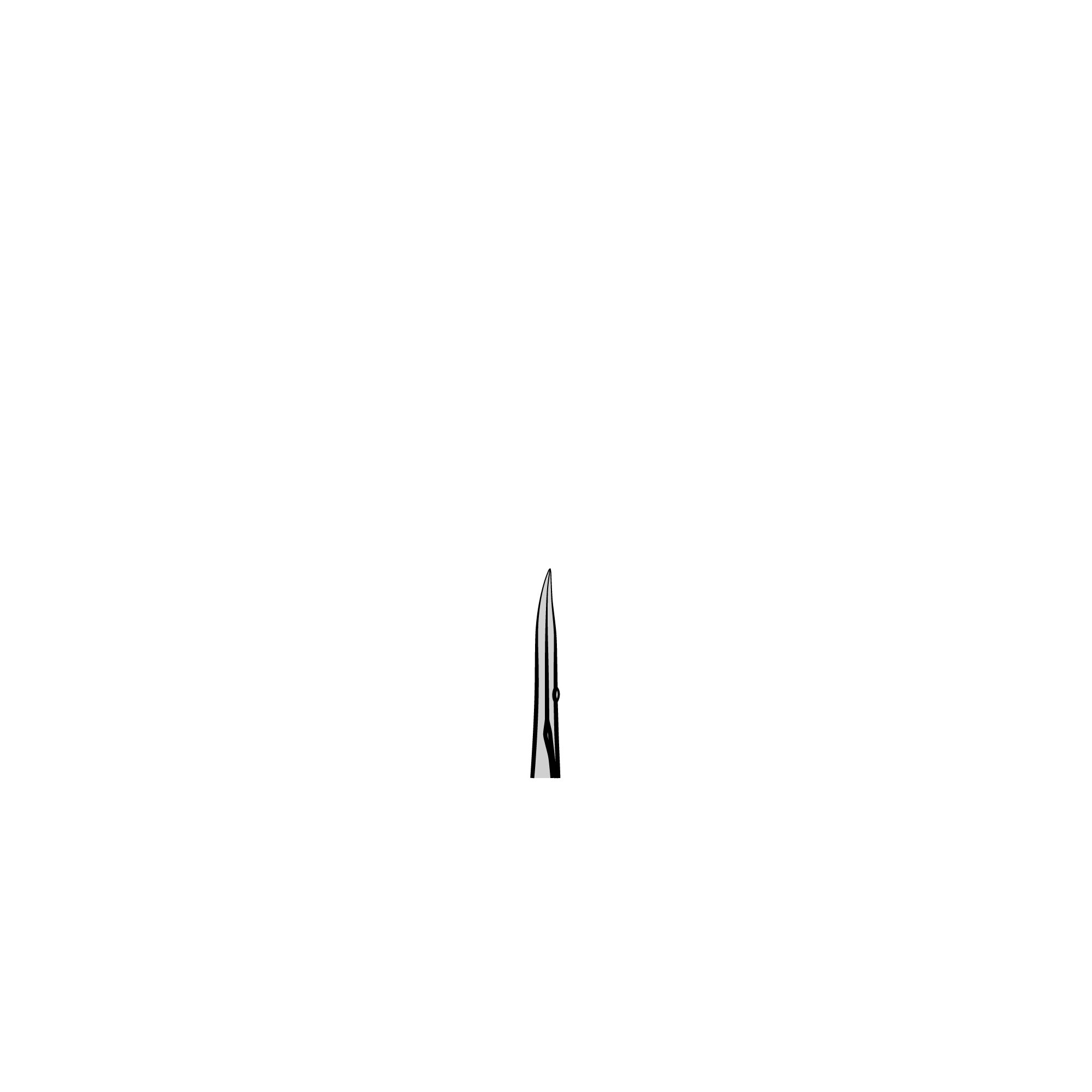 Cohan-Vannas Spring Scissors | 15000-11