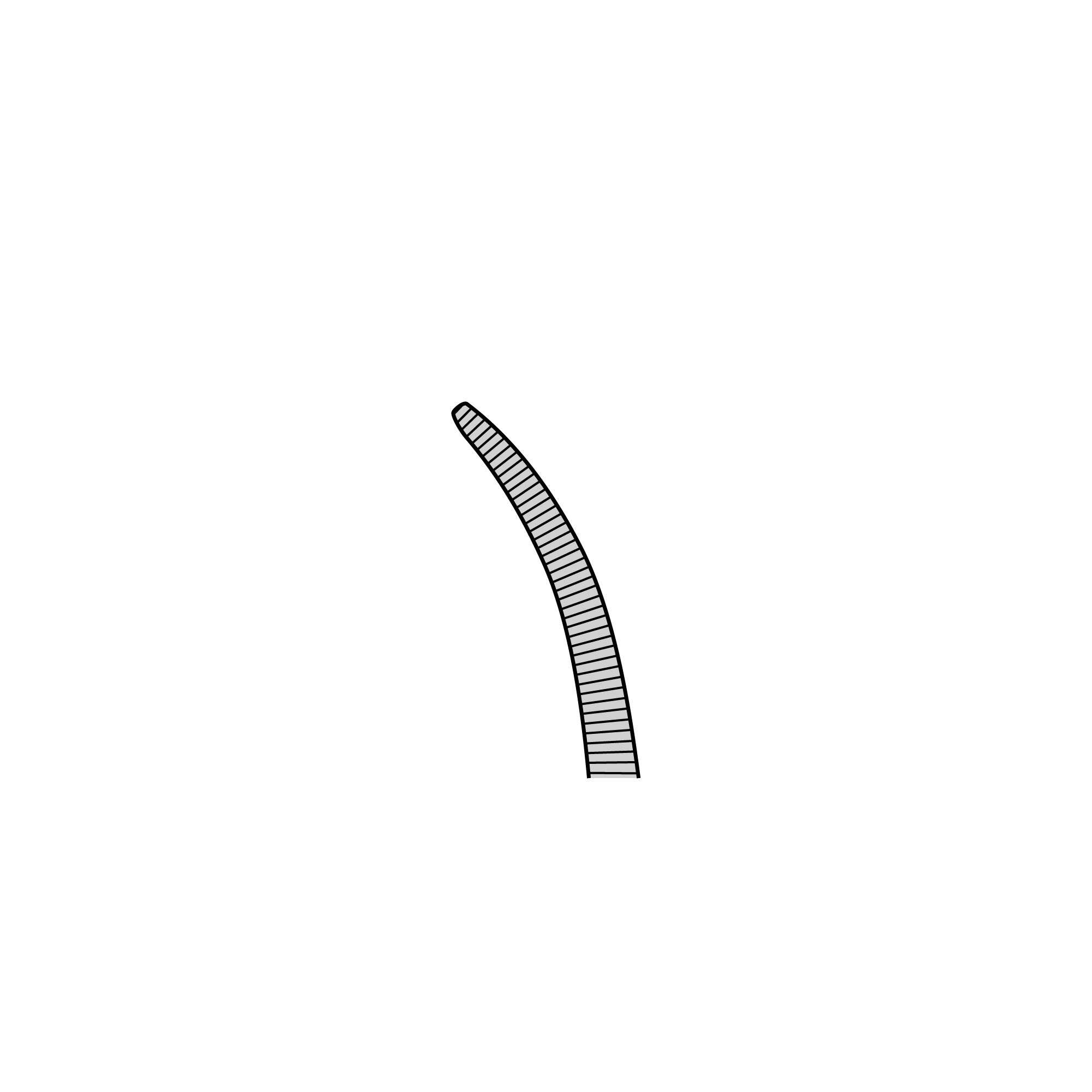 Student Pean Hemostat | 91323-14