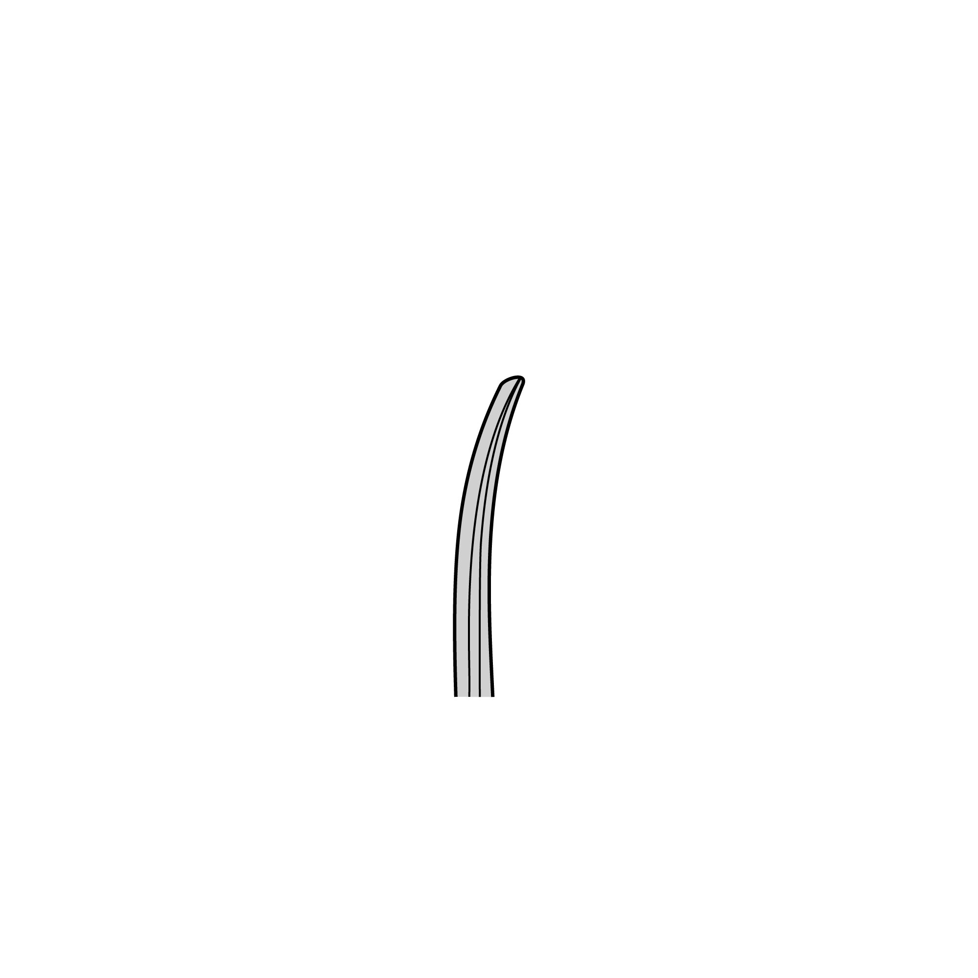 Standard Surgical Scissors - Sharp/Blunt | 14004-13