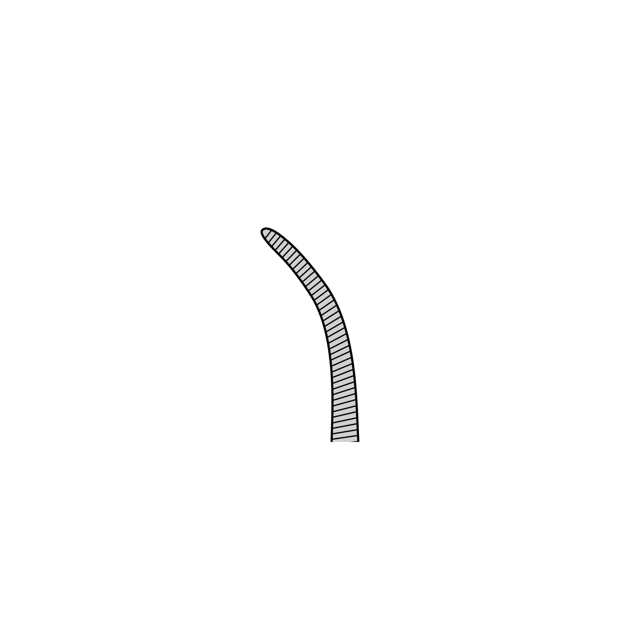Crile Hemostat | 13005-14