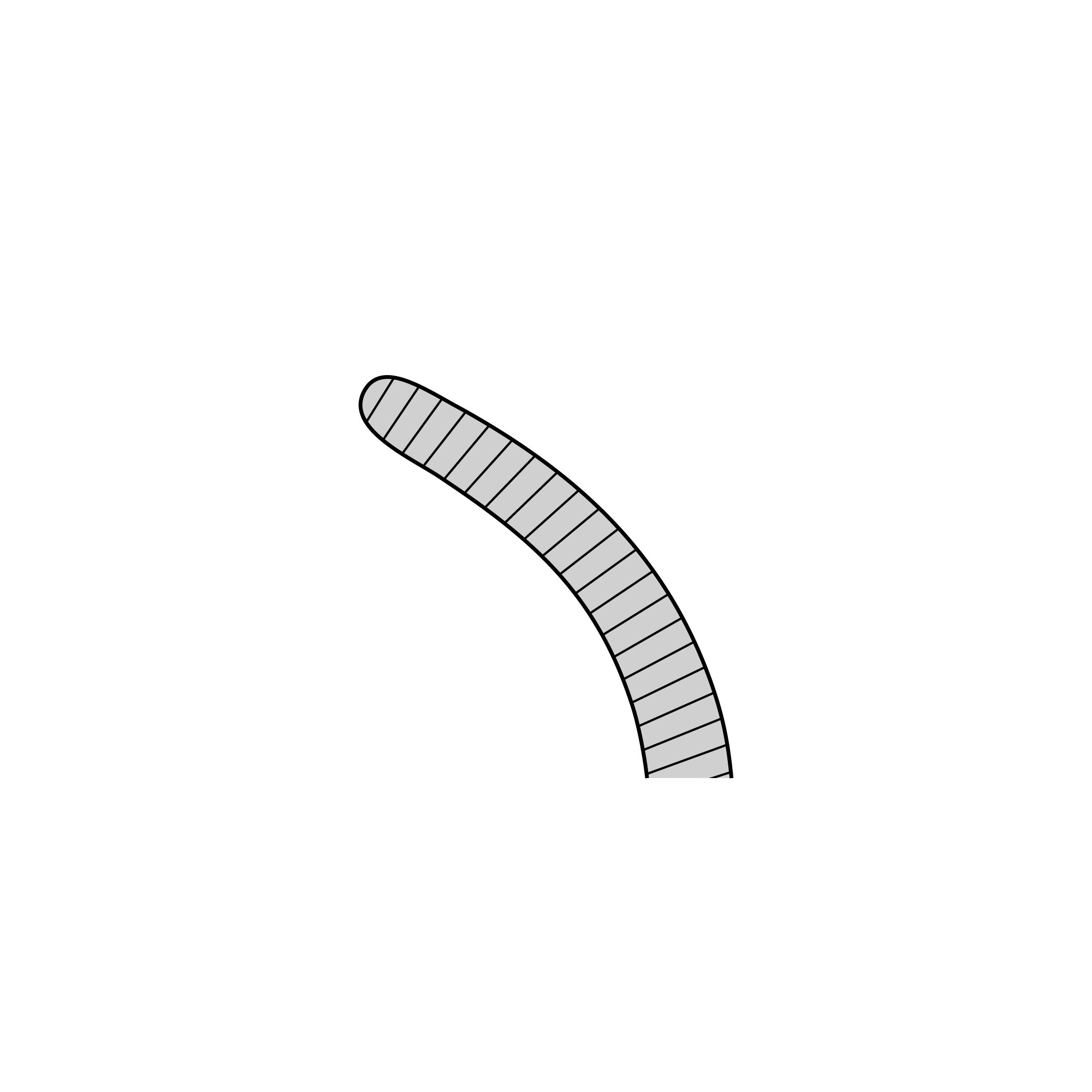 Anatomical Narrow Forceps - Curved | 11003-16
