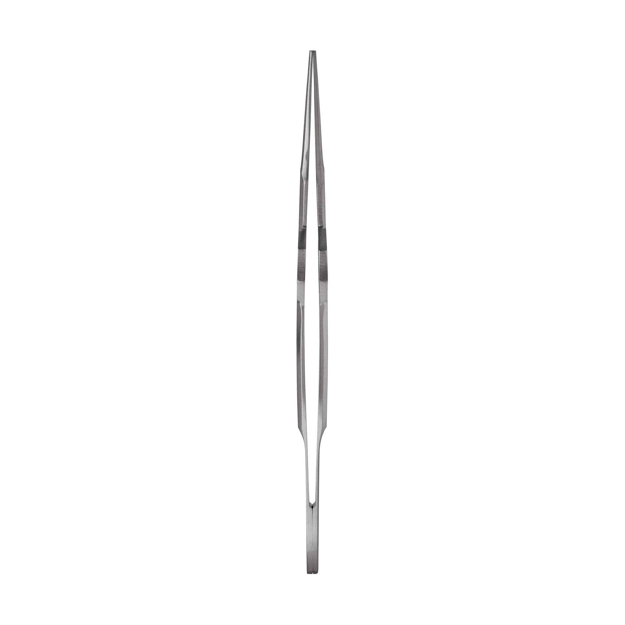 Foerster Forceps | 11042-08
